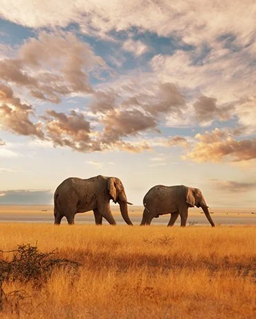 Personalized Incentives