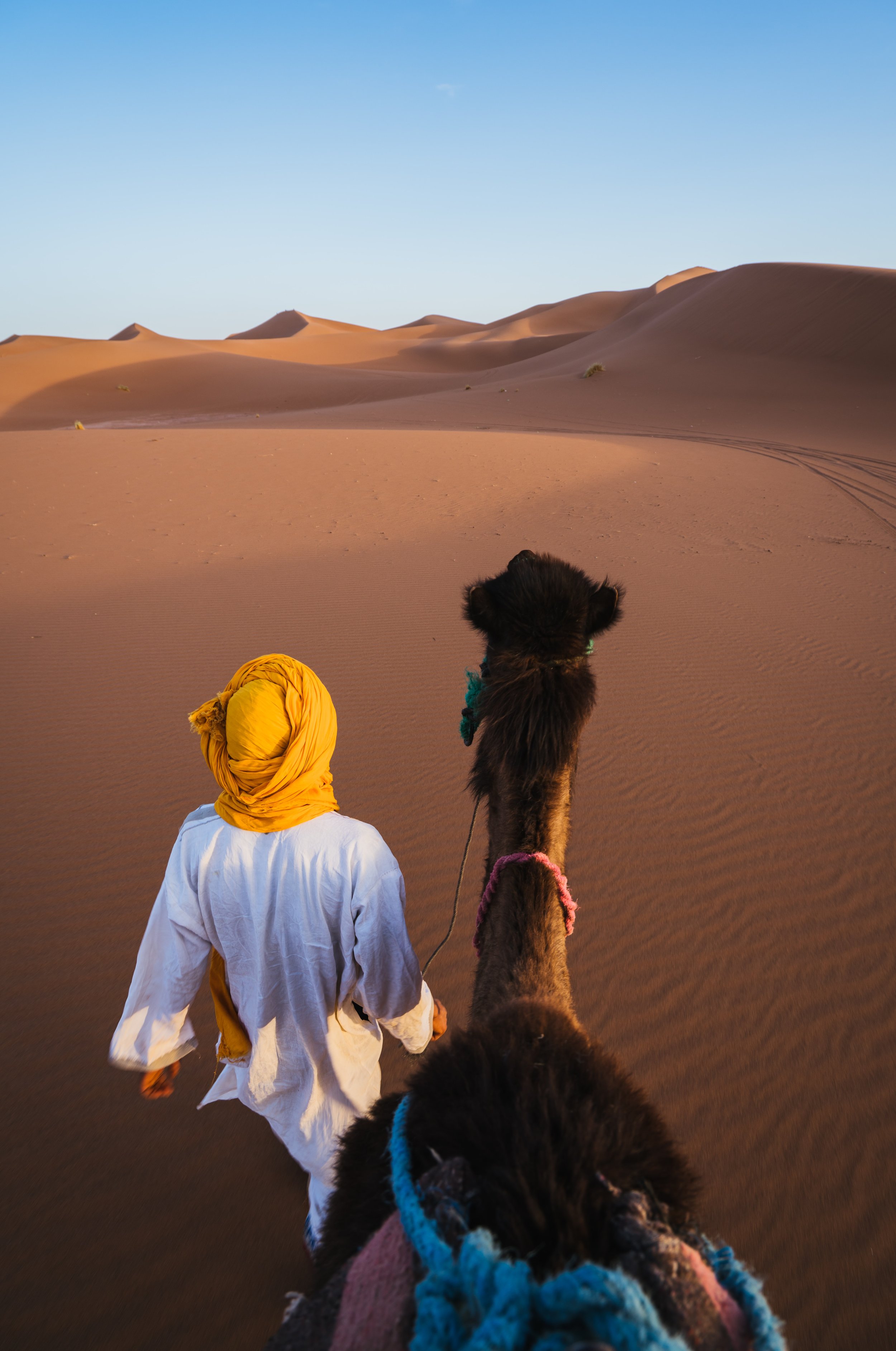 Desert Camel - Bedouin - 2_2023-08-02_19-36-13.jpeg