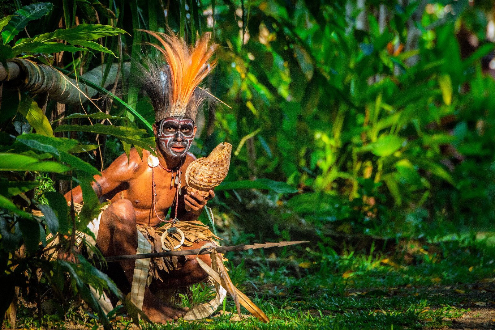 1_Papouasie-Nouvelle-Guinee-Alotau_Papou-Costume-traditionnel-Danse©StudioPONANT_Margaux Coupez.jpeg