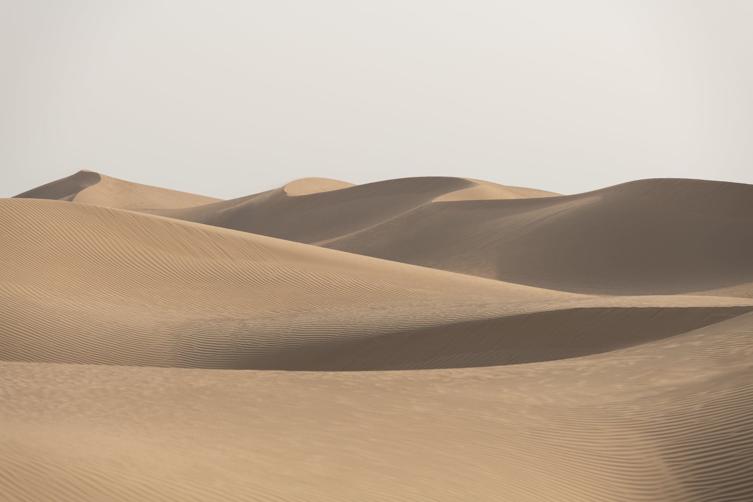 RF_BAS_Desert_Landscape_022_MASTER_NateleeCocks.JPG
