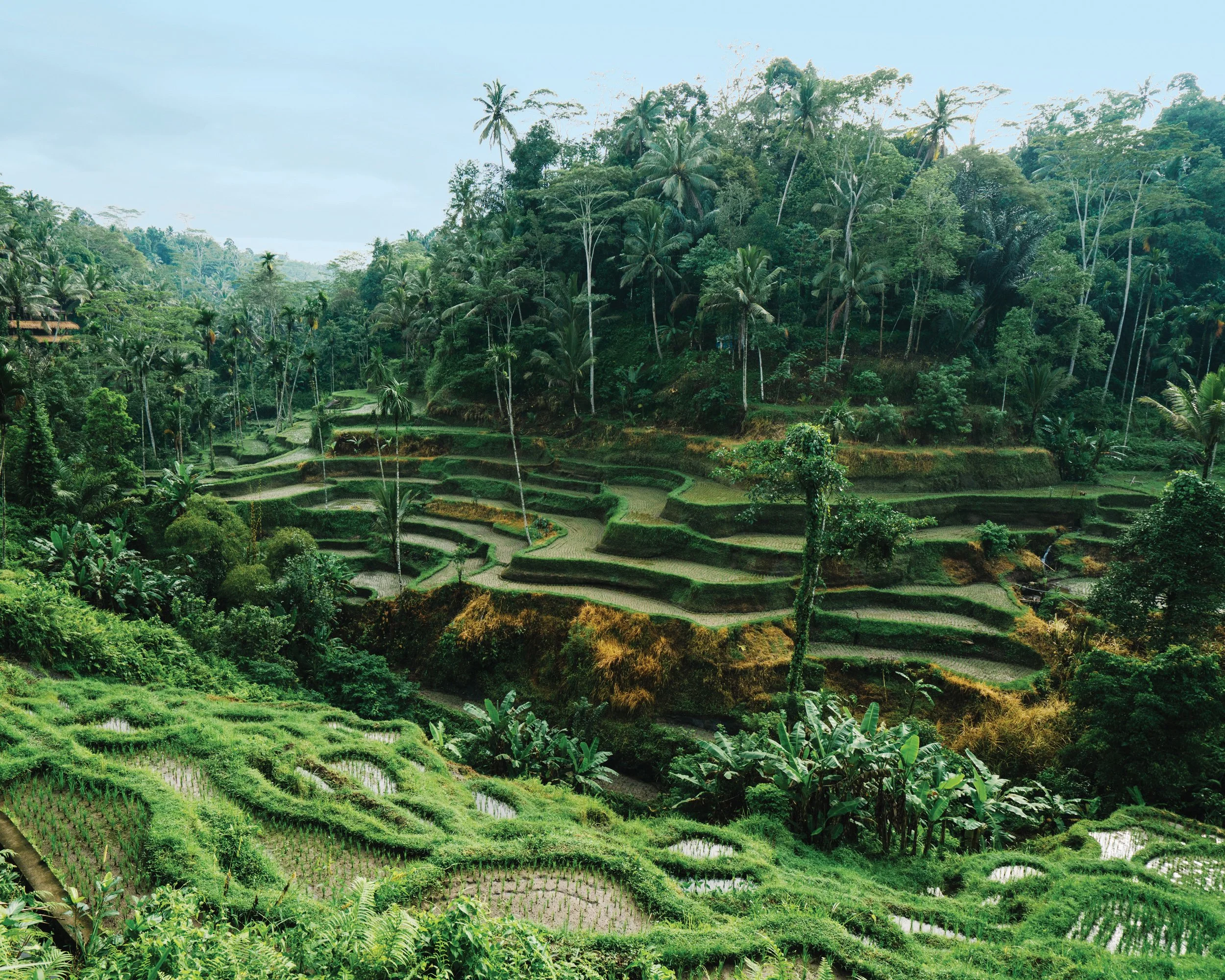 A Passage of Traditions: Exploring Asia with Seabourn 