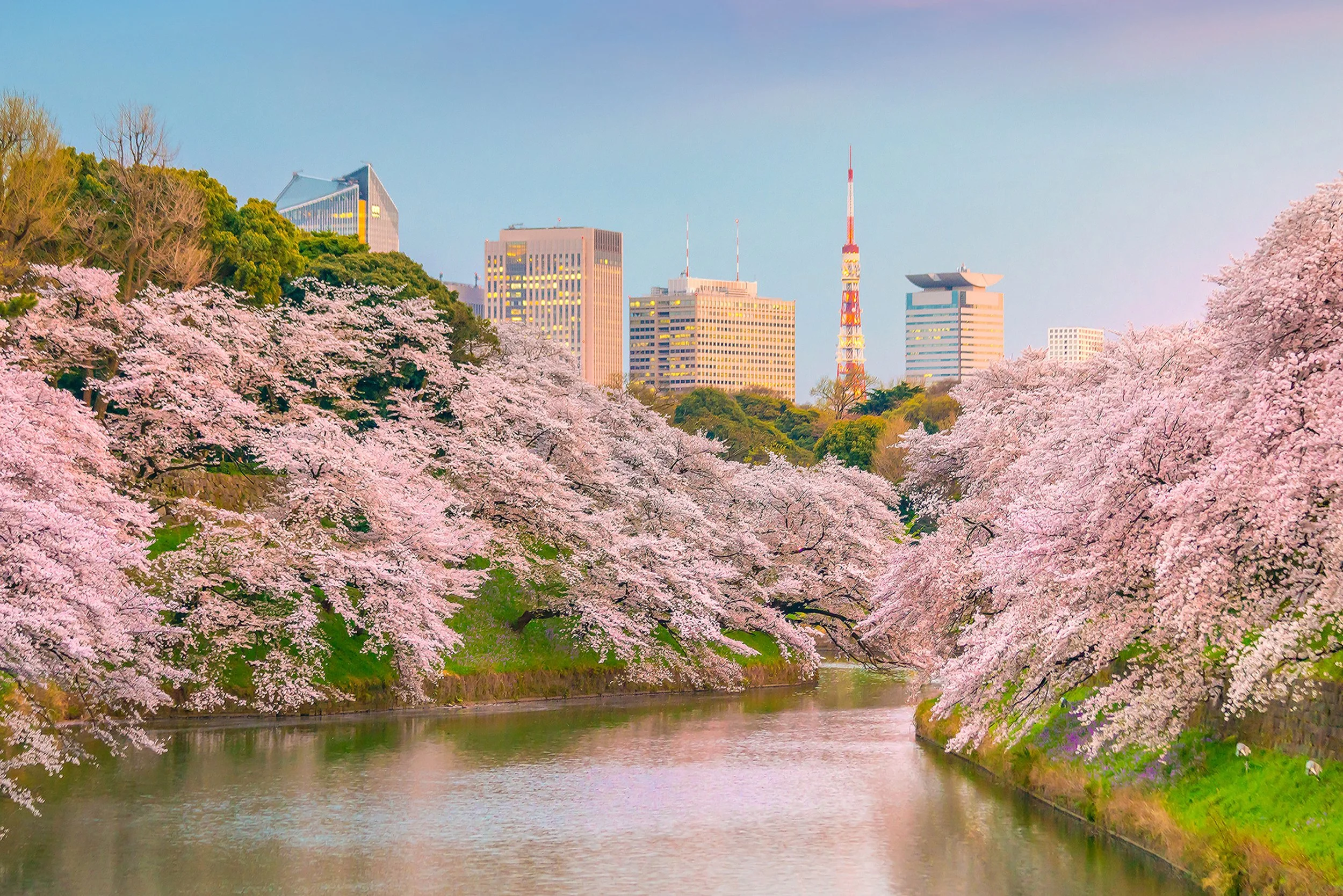 (C)TCS_GI_1210862878_Tokyo.jpg