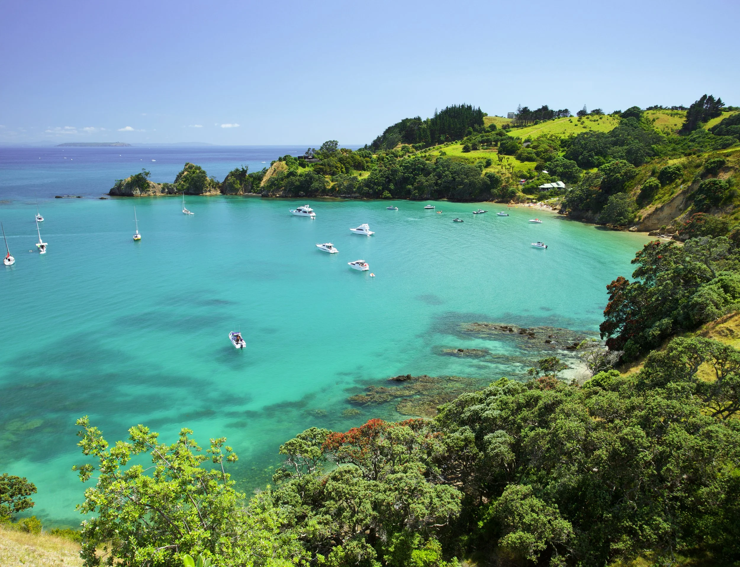 (C)TCS_GI_Auckland-606044262.jpg