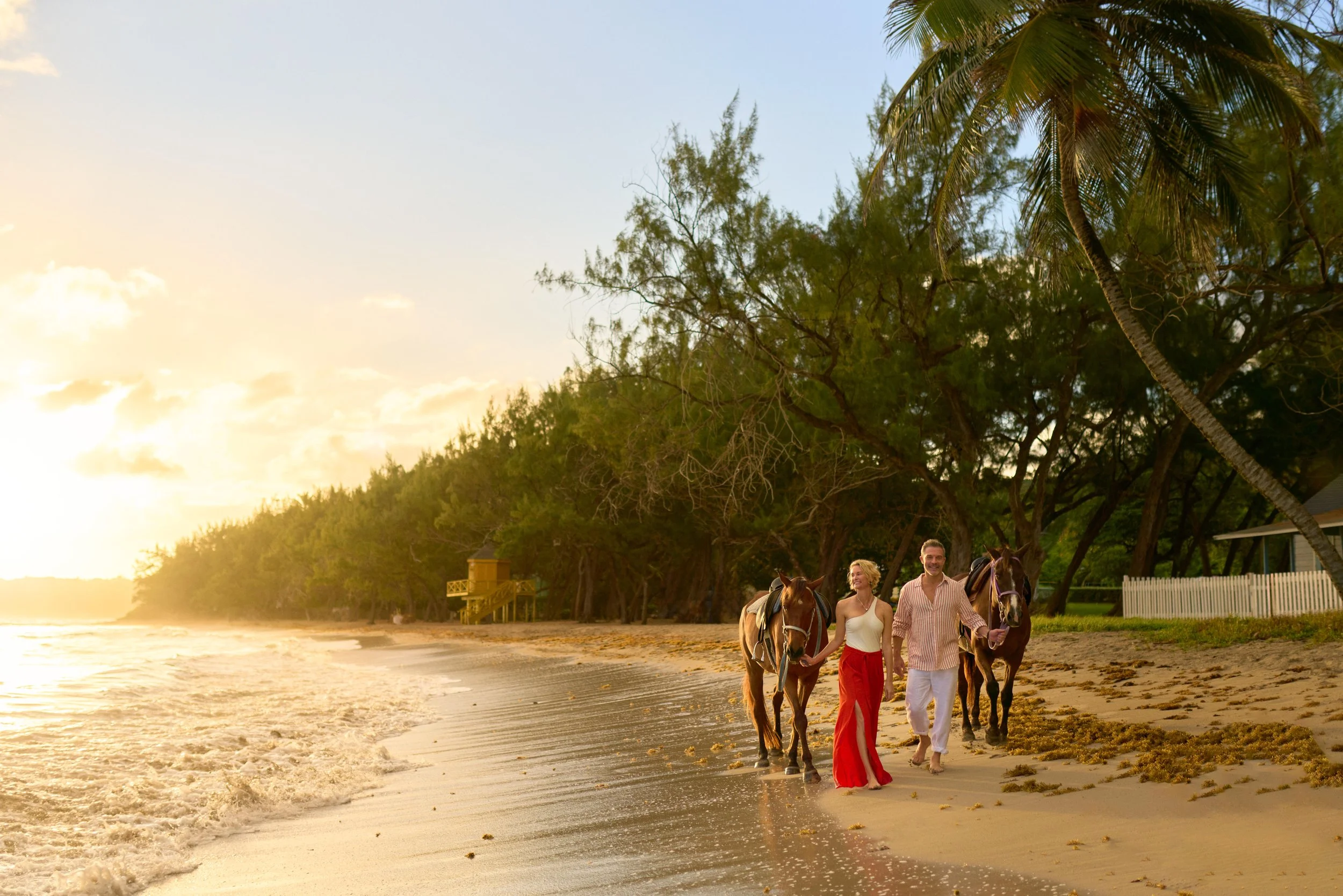 EV_2024_Shore Excursion_Caribbean_010.jpeg