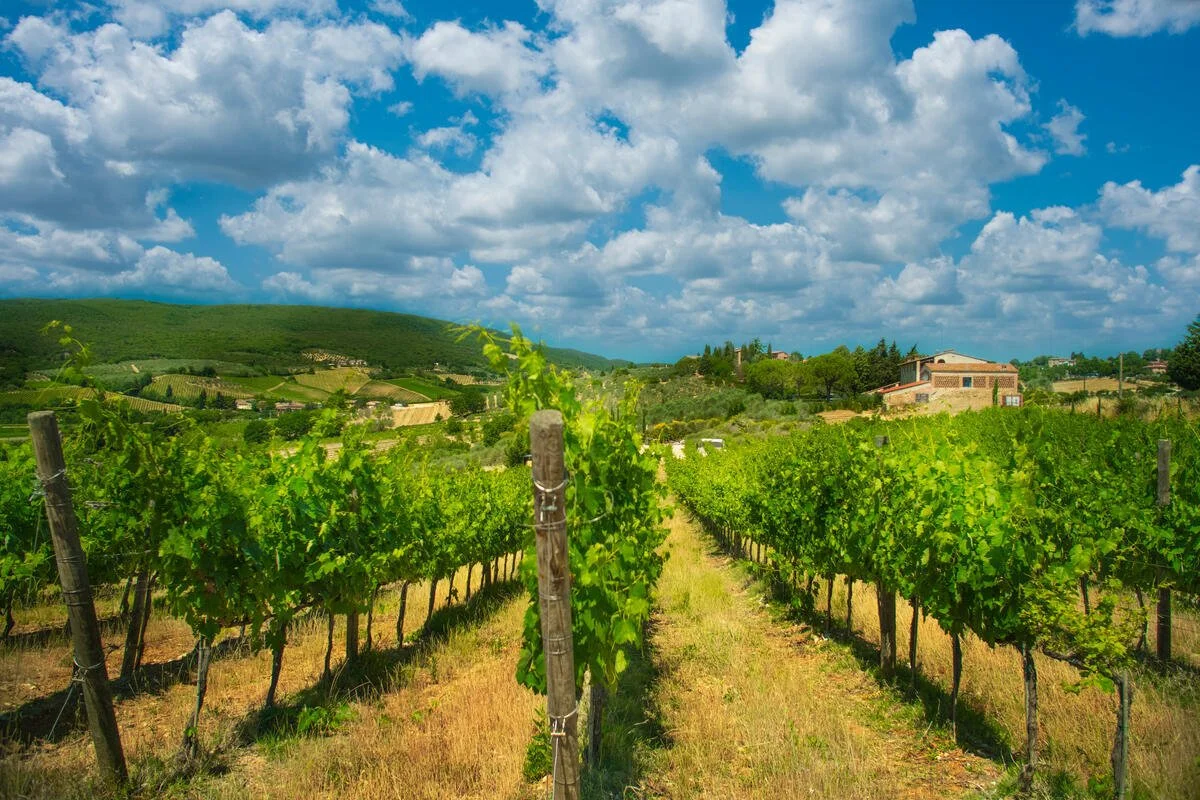 Italy_Tuscany_2017 Medium res.jpg