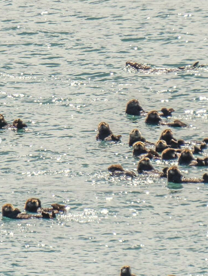 Screenshot 2026-01-13 135319.png