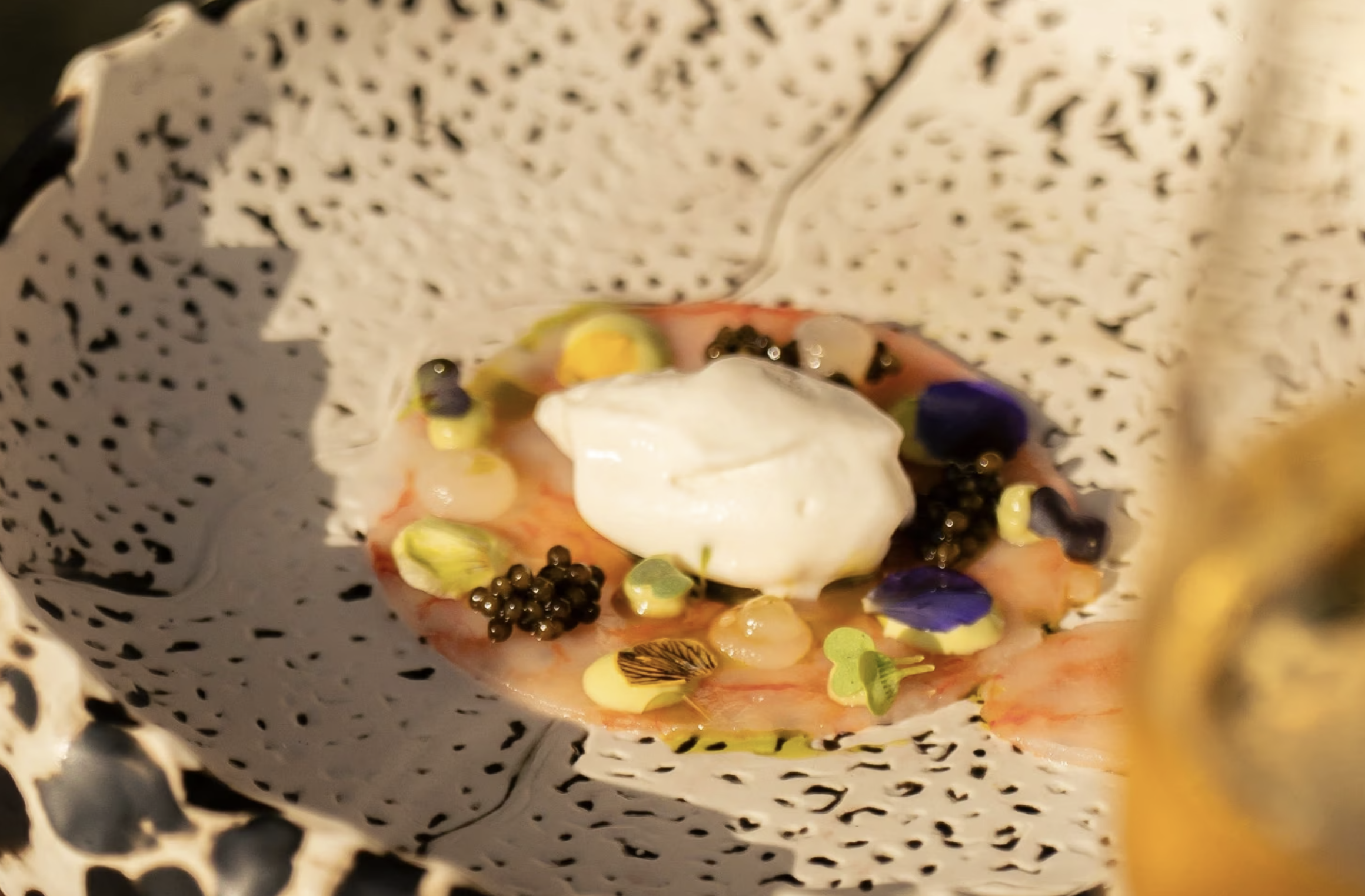 Screenshot 2026-03-01 153646.png