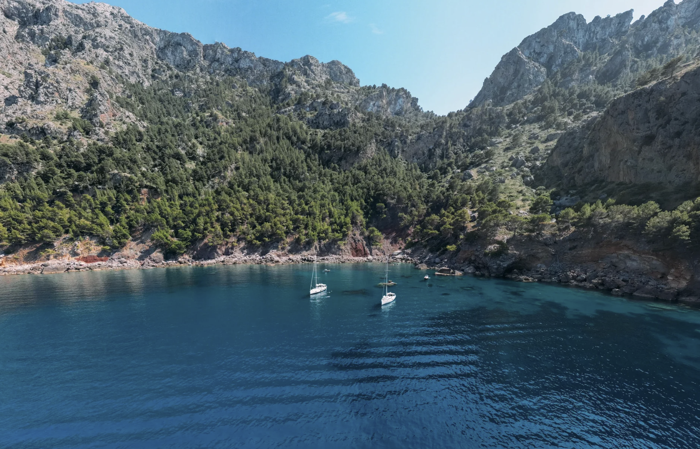 Screenshot 2026-03-01 154645.png