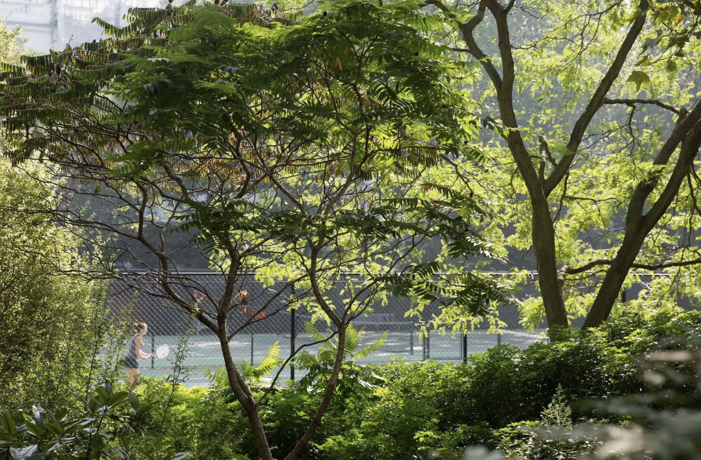 Screenshot 2026-03-01 161655.png