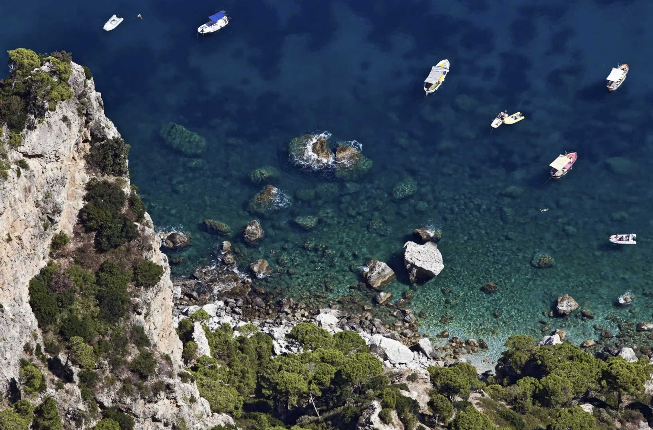 Screenshot 2026-03-01 162851.png