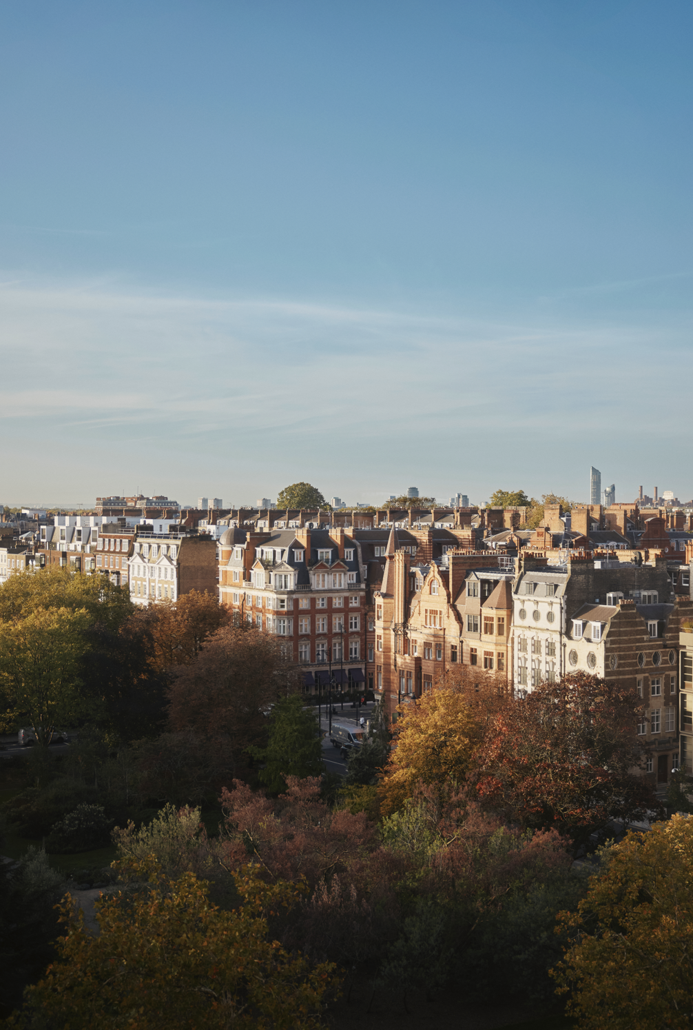 Screenshot 2026-03-03 083515.png