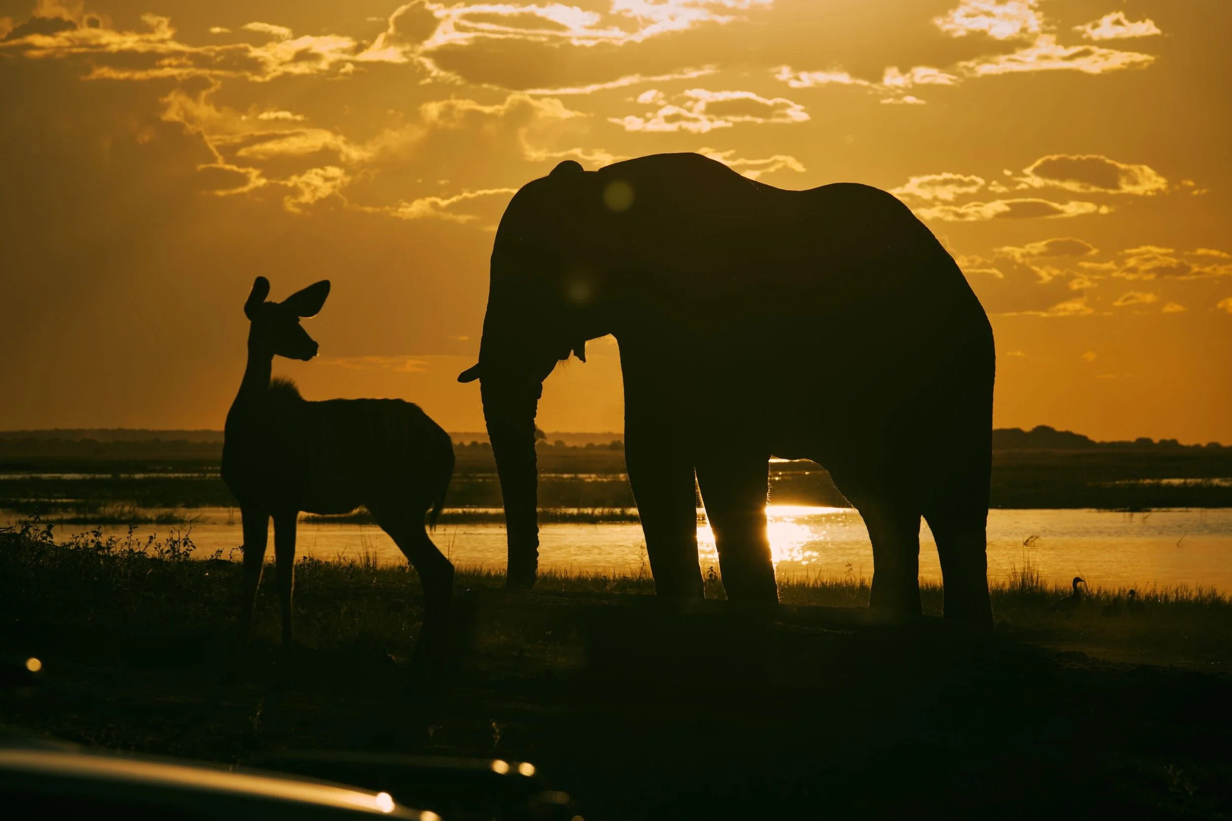 Display 2k-20230315_SanctuaryChobe_FujiFilm_XT4_9260.jpg