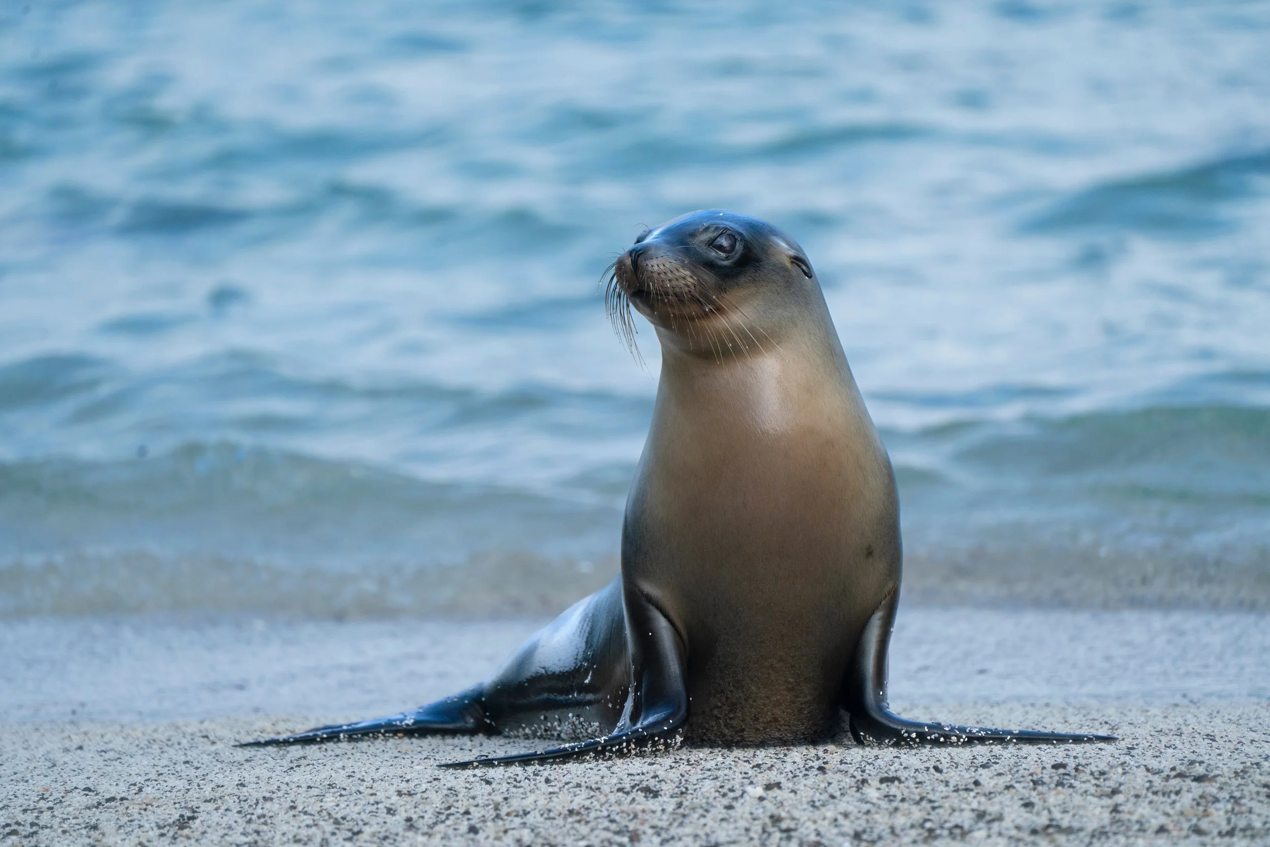 Large RGB-NAT-HAB-gipp_09_18_24_colby-brokvist_371190.jpg