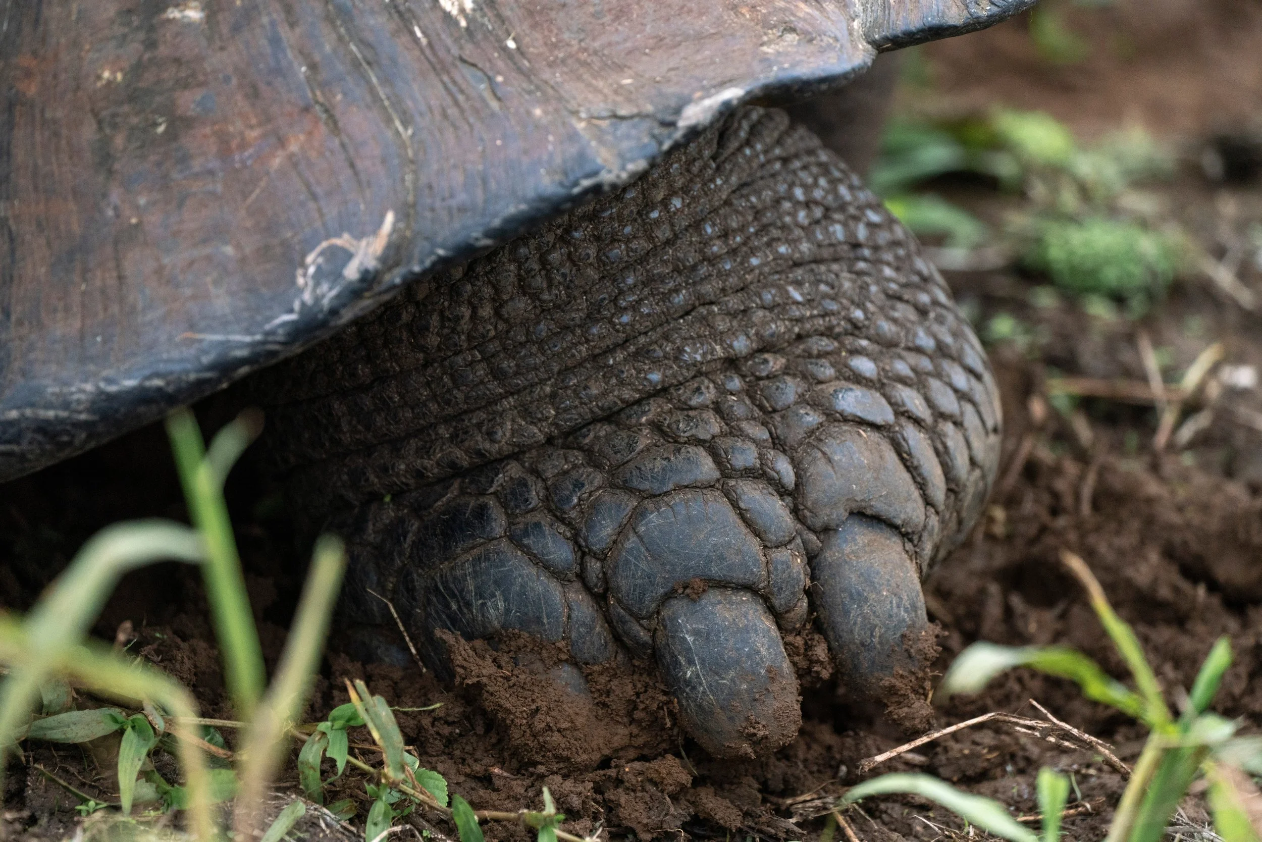 Large RGB-NAT-HAB-gipp_09_18_24_colby-brokvist_371181.jpg