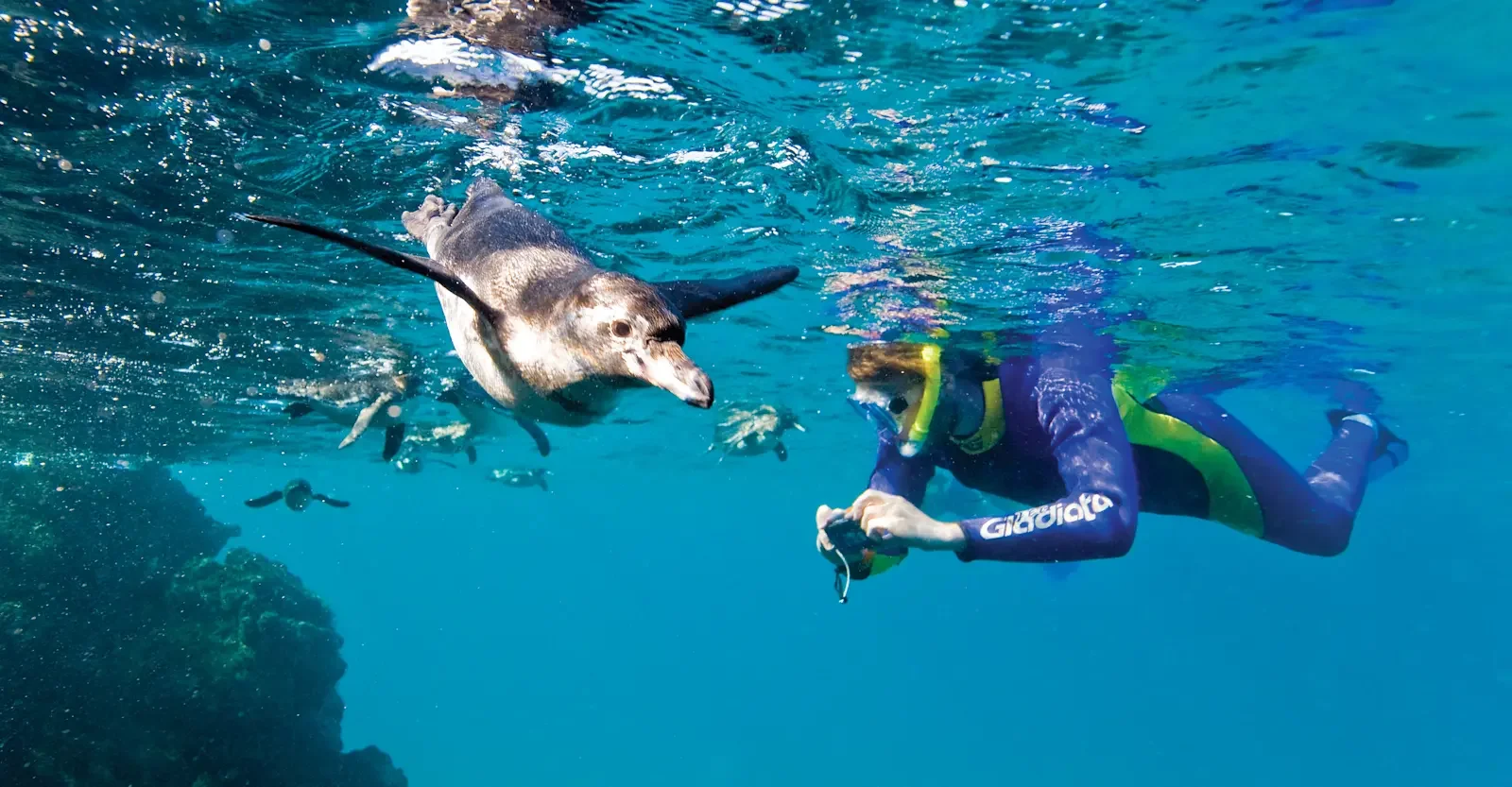 Into the Wild: Discover the Galapagos Islands with Natural Habitat Adventures 
