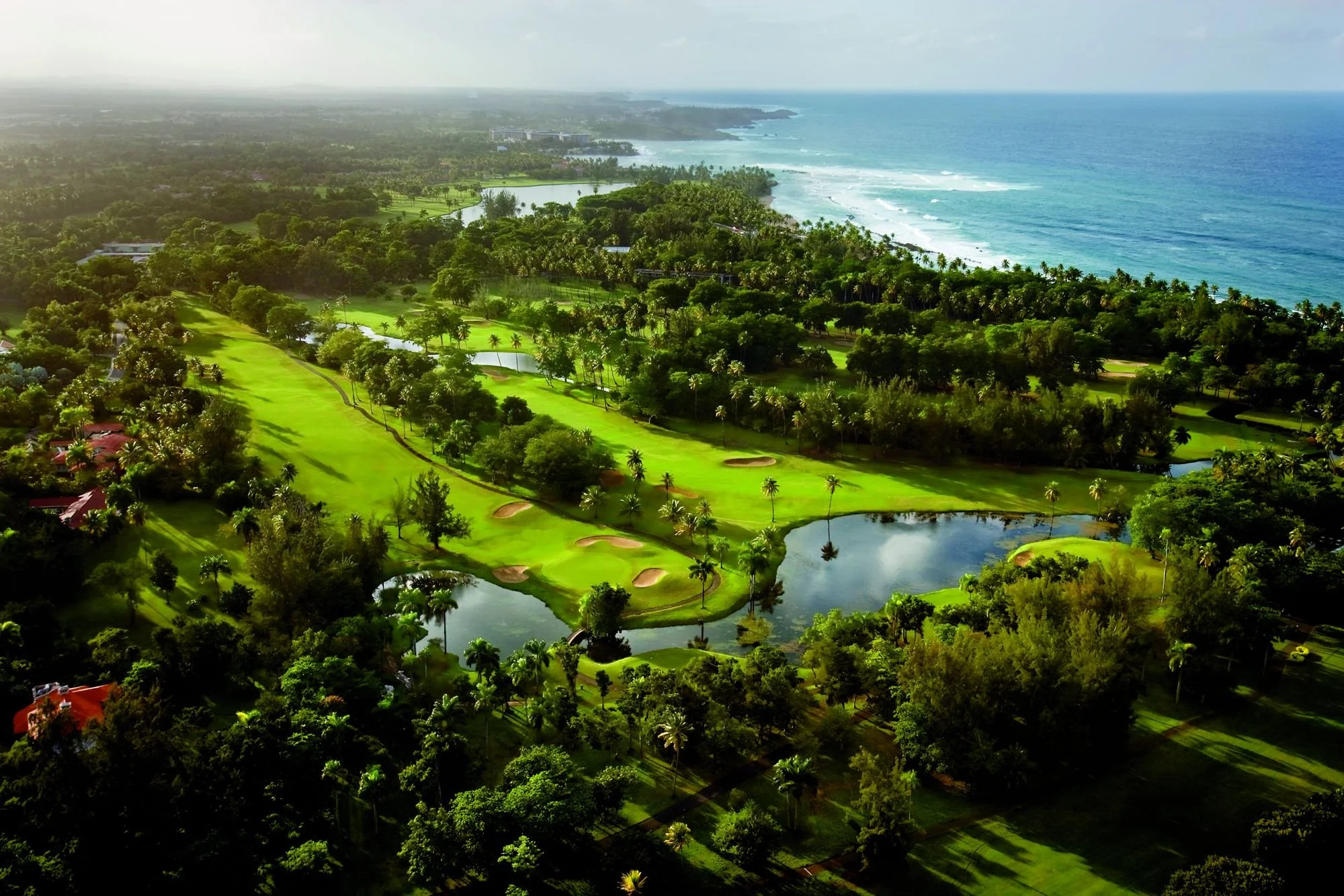 Golf View Above (1).jpeg