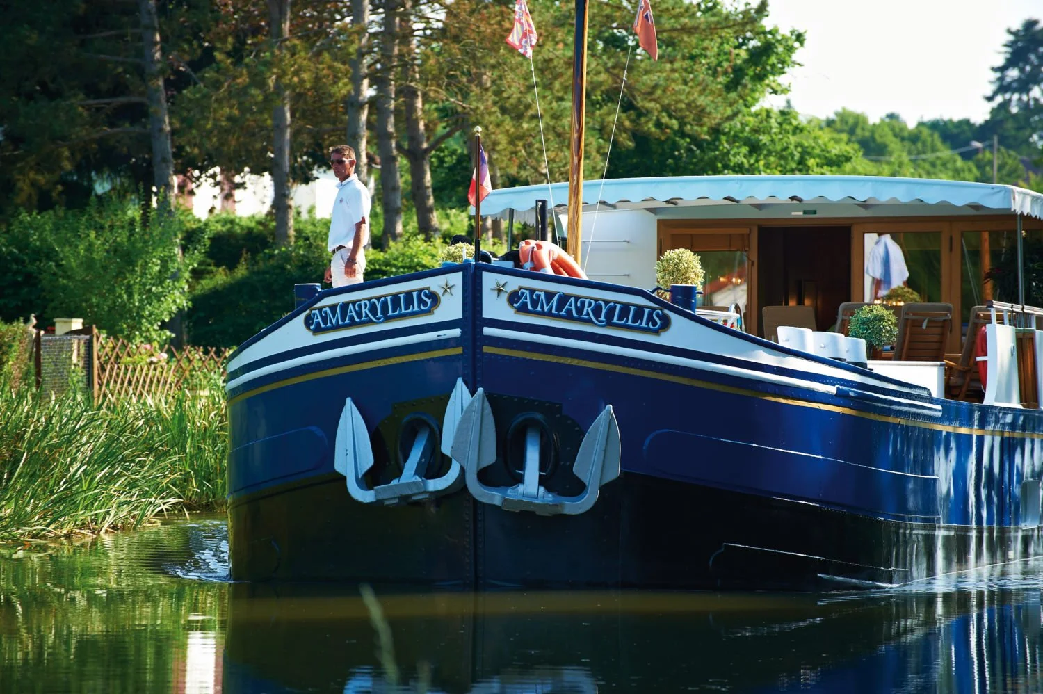 Afloat in France Amaryllis.jpg