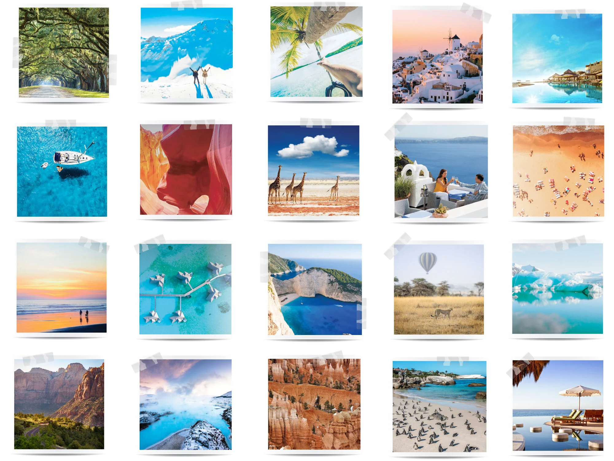 2021-LATS-WebsiteBackground.jpg