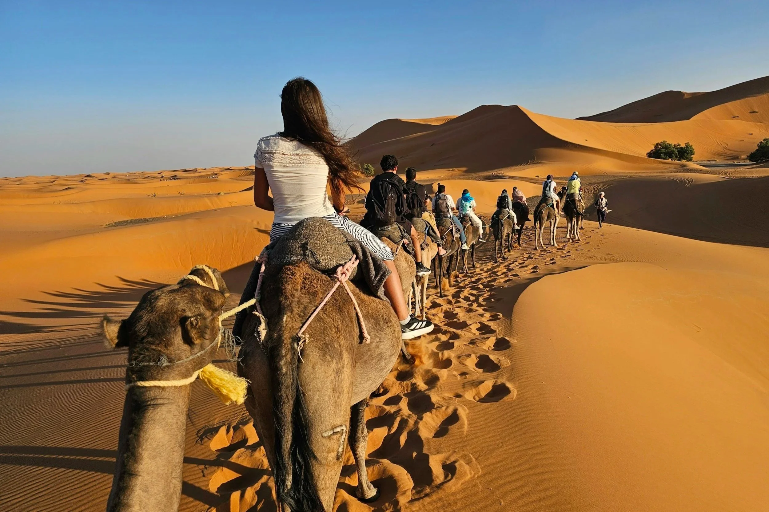 Riding Camels Through the Arabian Desert