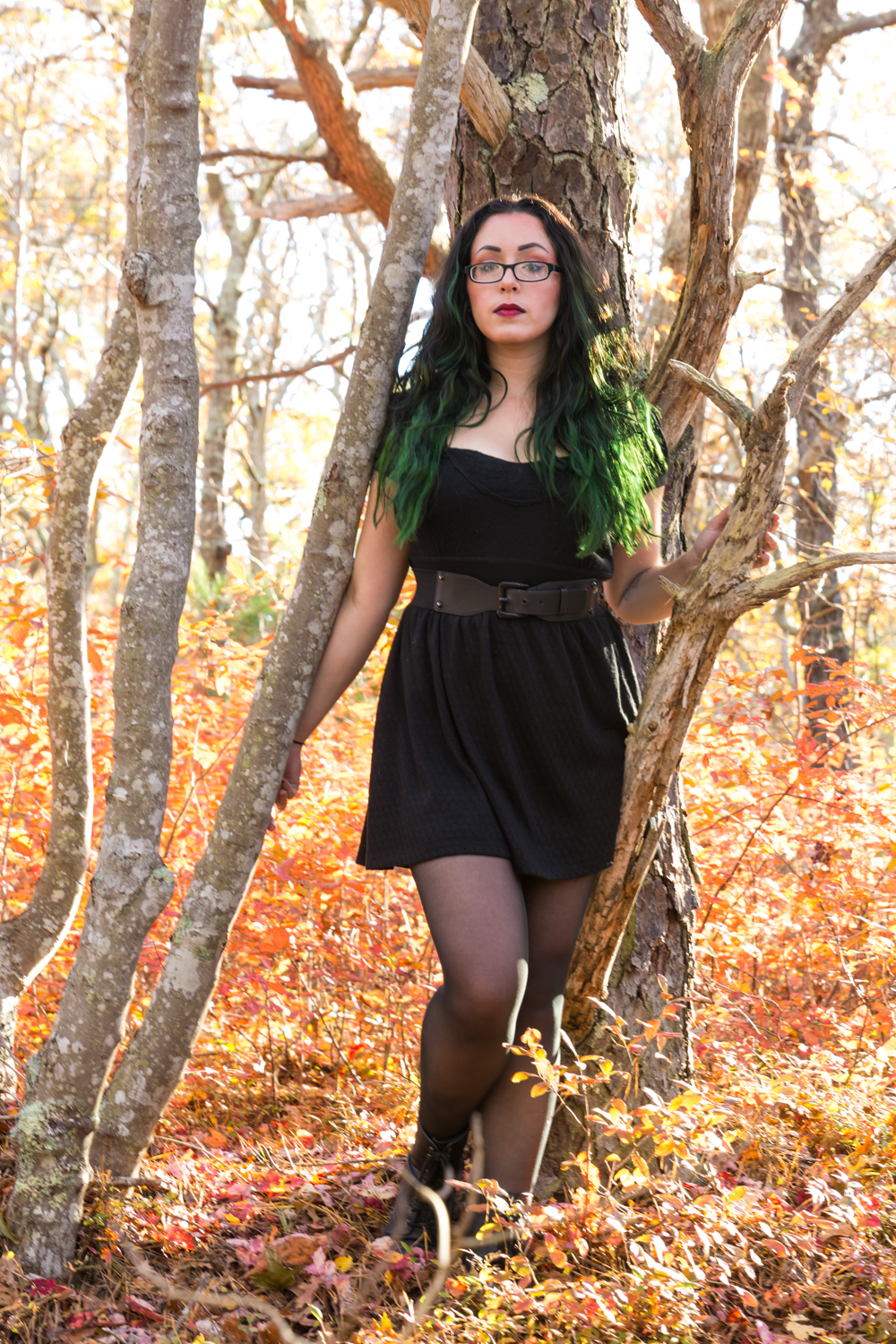 Amidst the leaves of gold and green 1