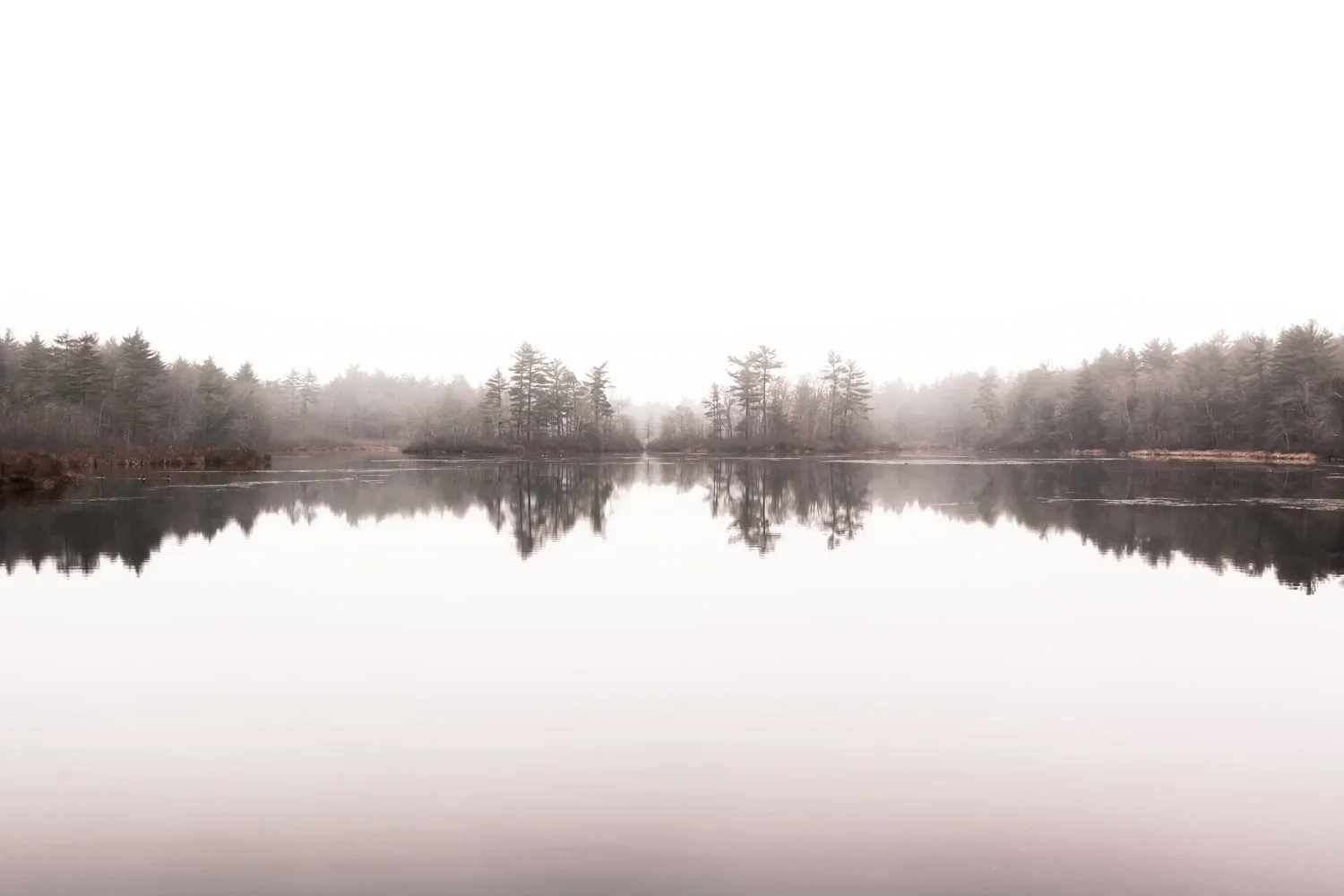 Reflection1.jpg