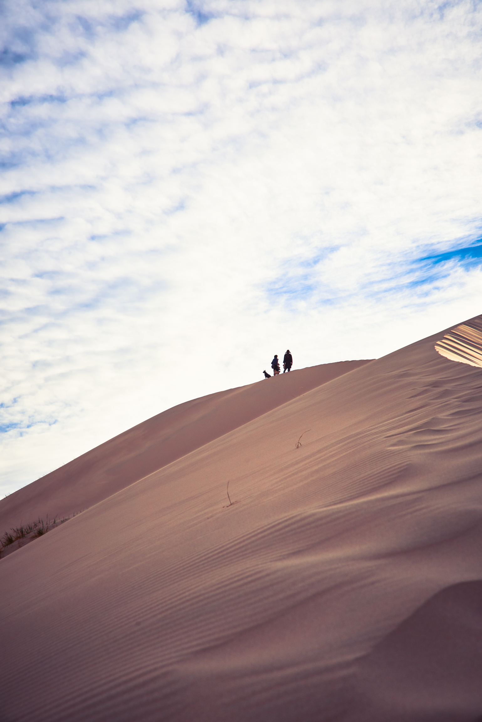 Vegas_WPPI_Trip_Dunes_4831(PS1).jpg