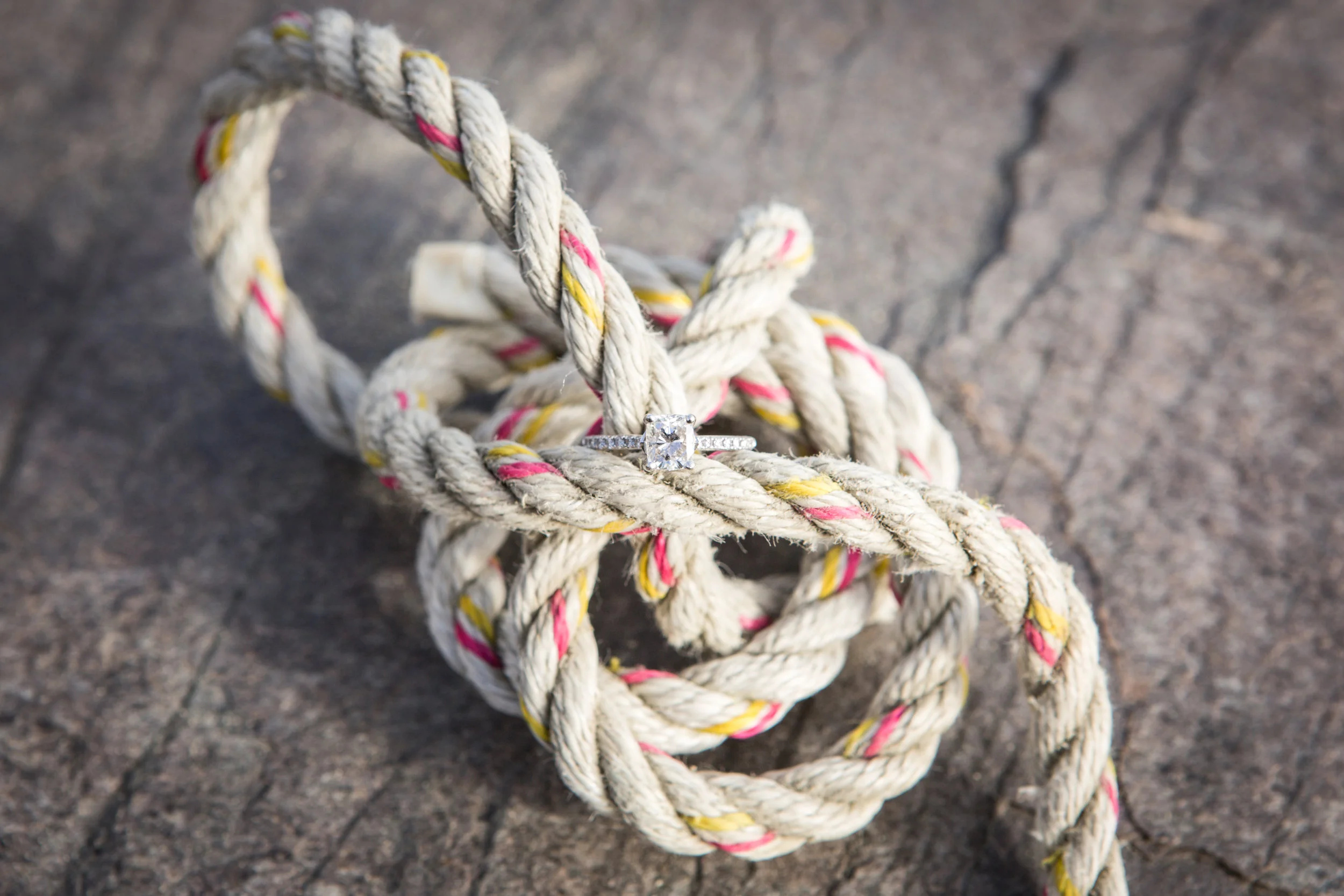 SHAWN&SCARLETT (45 of 72).jpg