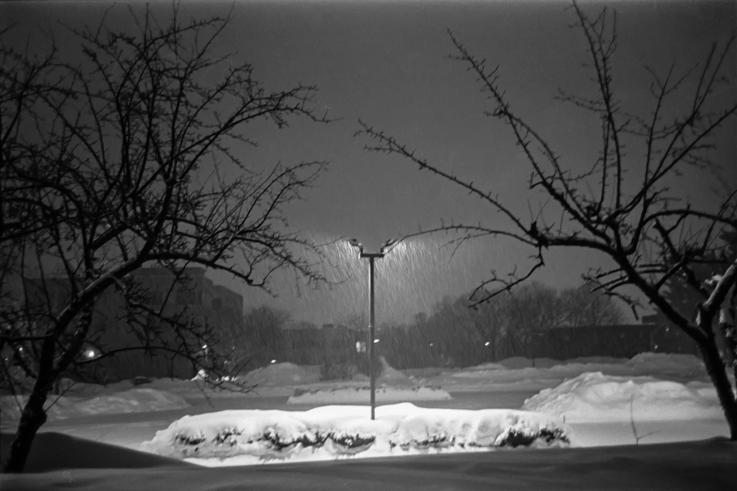 B&W-Portfolio-4.jpg