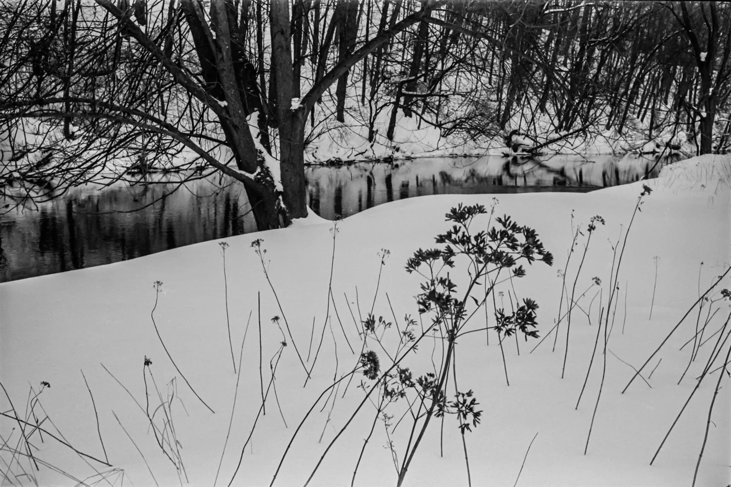 B&W-Portfolio-5.jpg