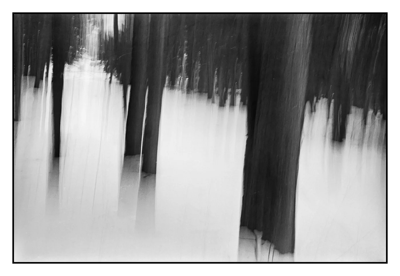 Silence of Snow-4.jpg