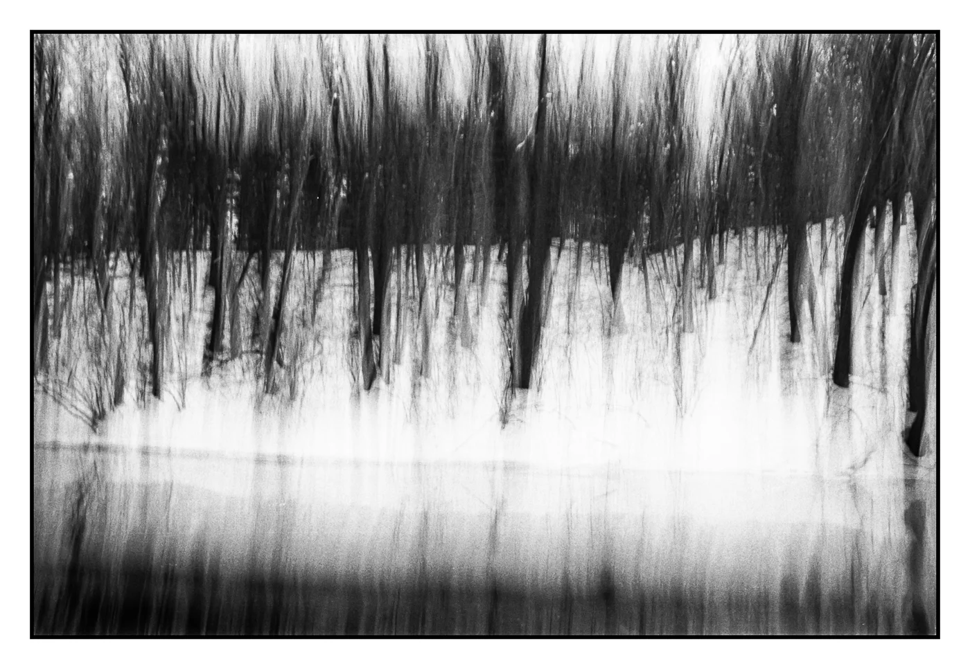 Silence of Snow-3.jpg