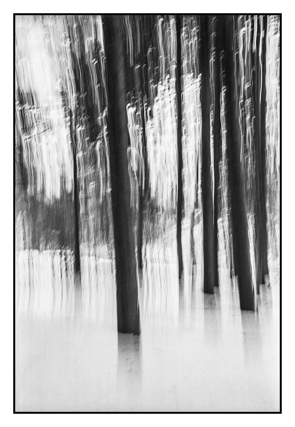 Silence of Snow-6.jpg