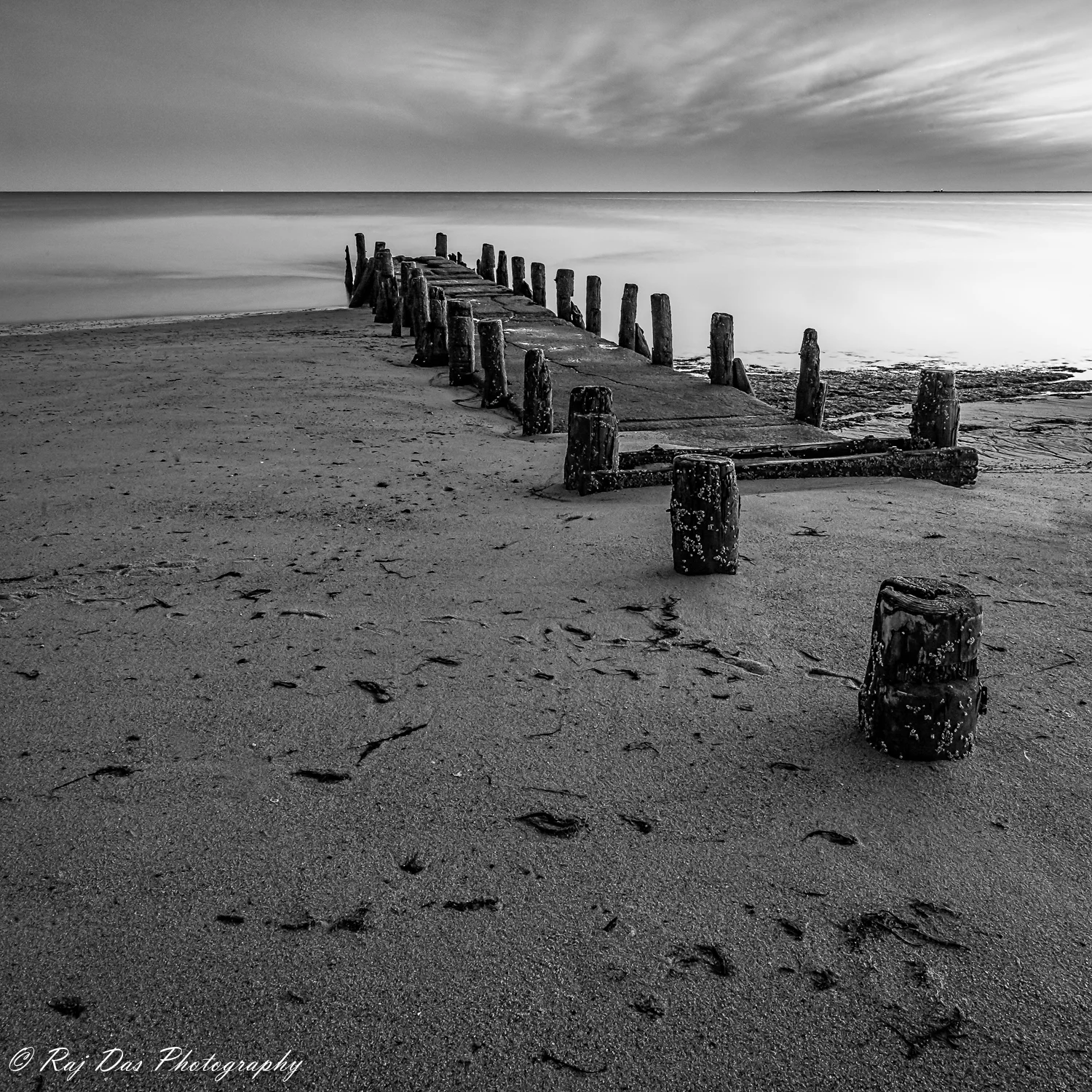 Remains of the Day