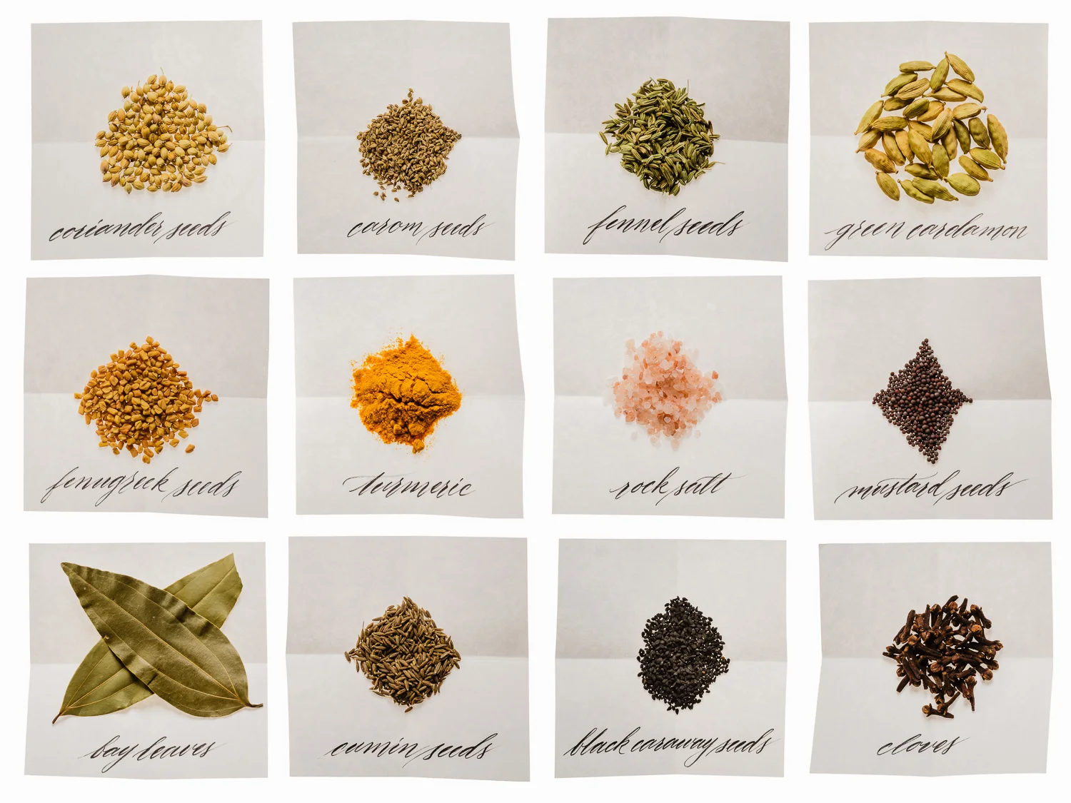 Studio-Portfolio-20.jpg