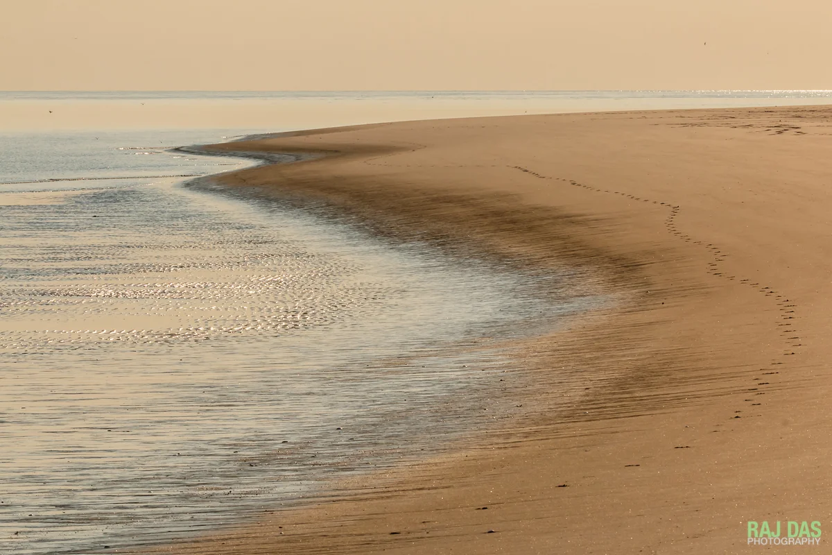 A view of the beach and Ipswich Bay
