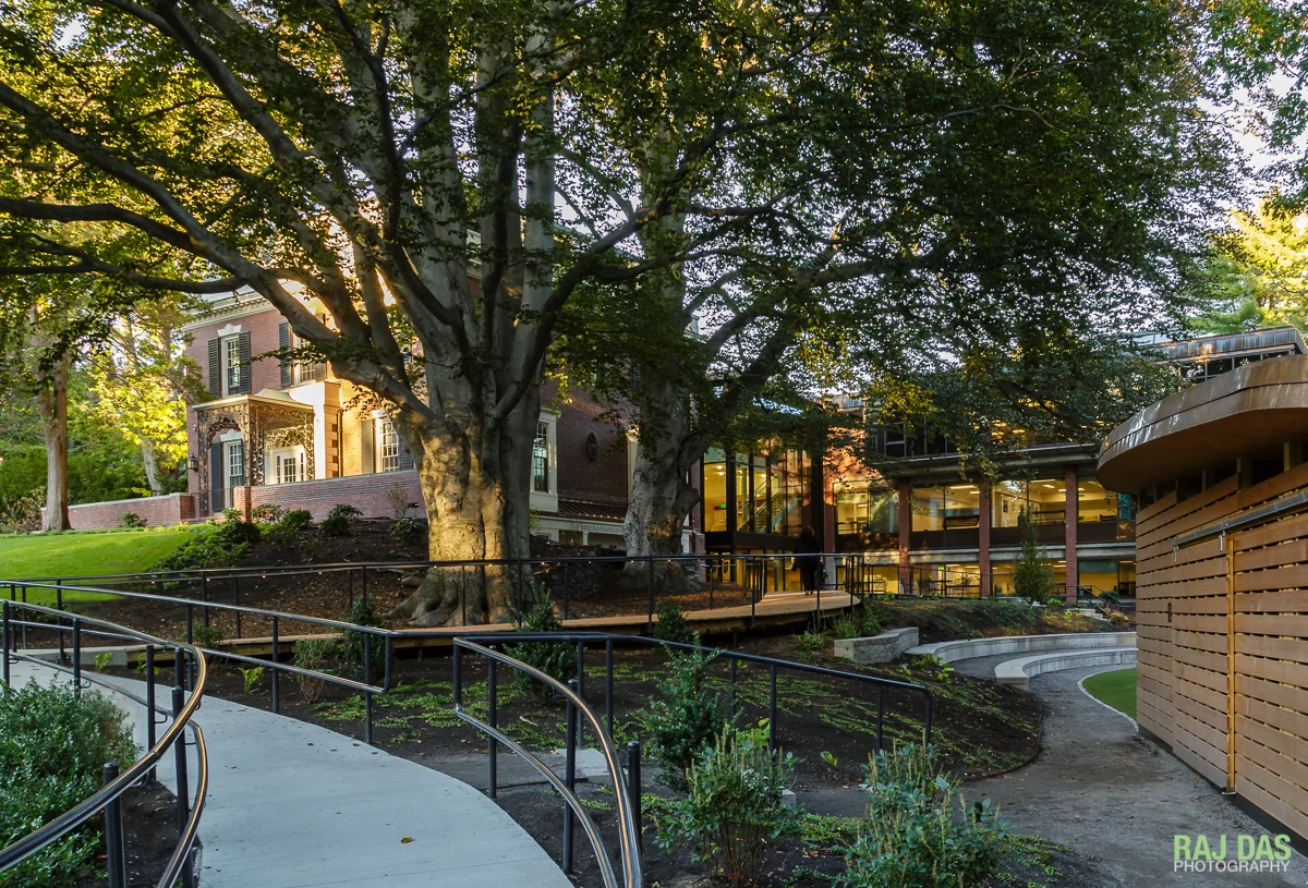 The new walkway from the parking lot and the boardwalk lead up to the terrace and foyer