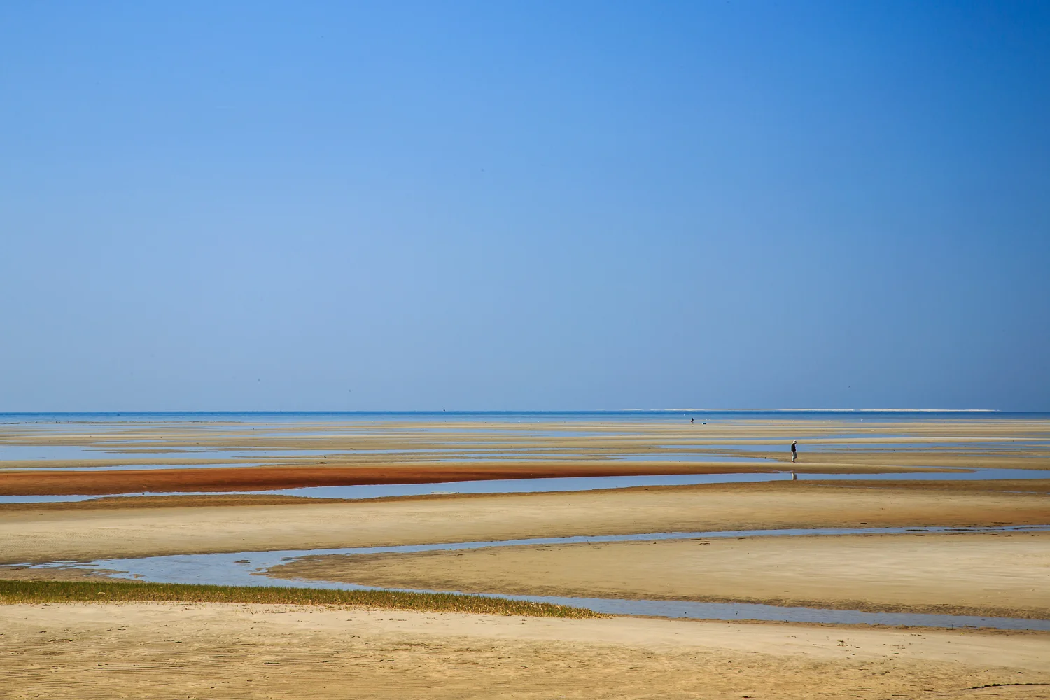 RajDas-CapeCodImages-Color-23.jpg