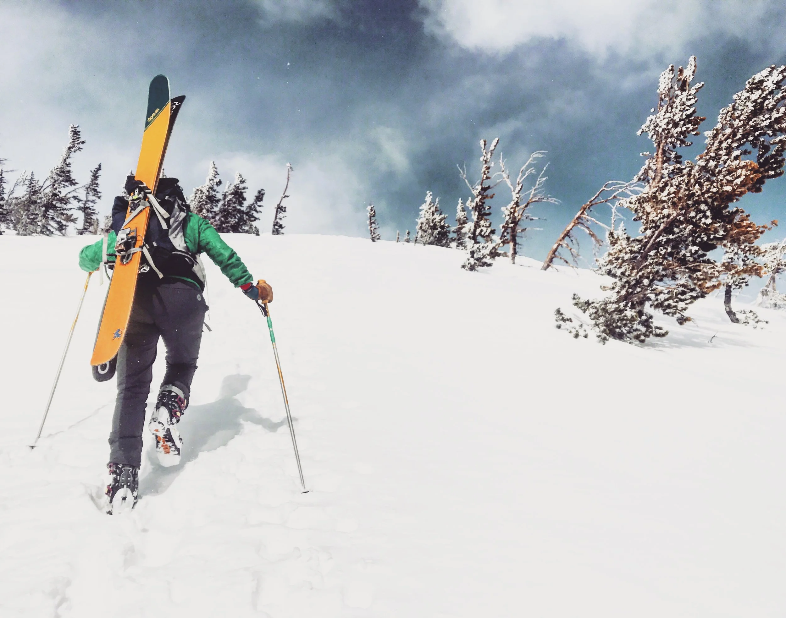Adult Avalanche Terrain and Incident Response Skills Refresher