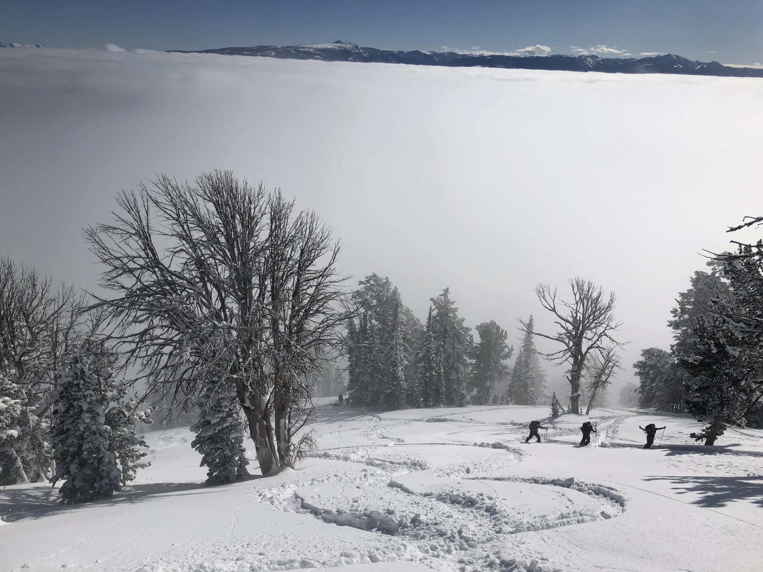 State of the Snowpack #5