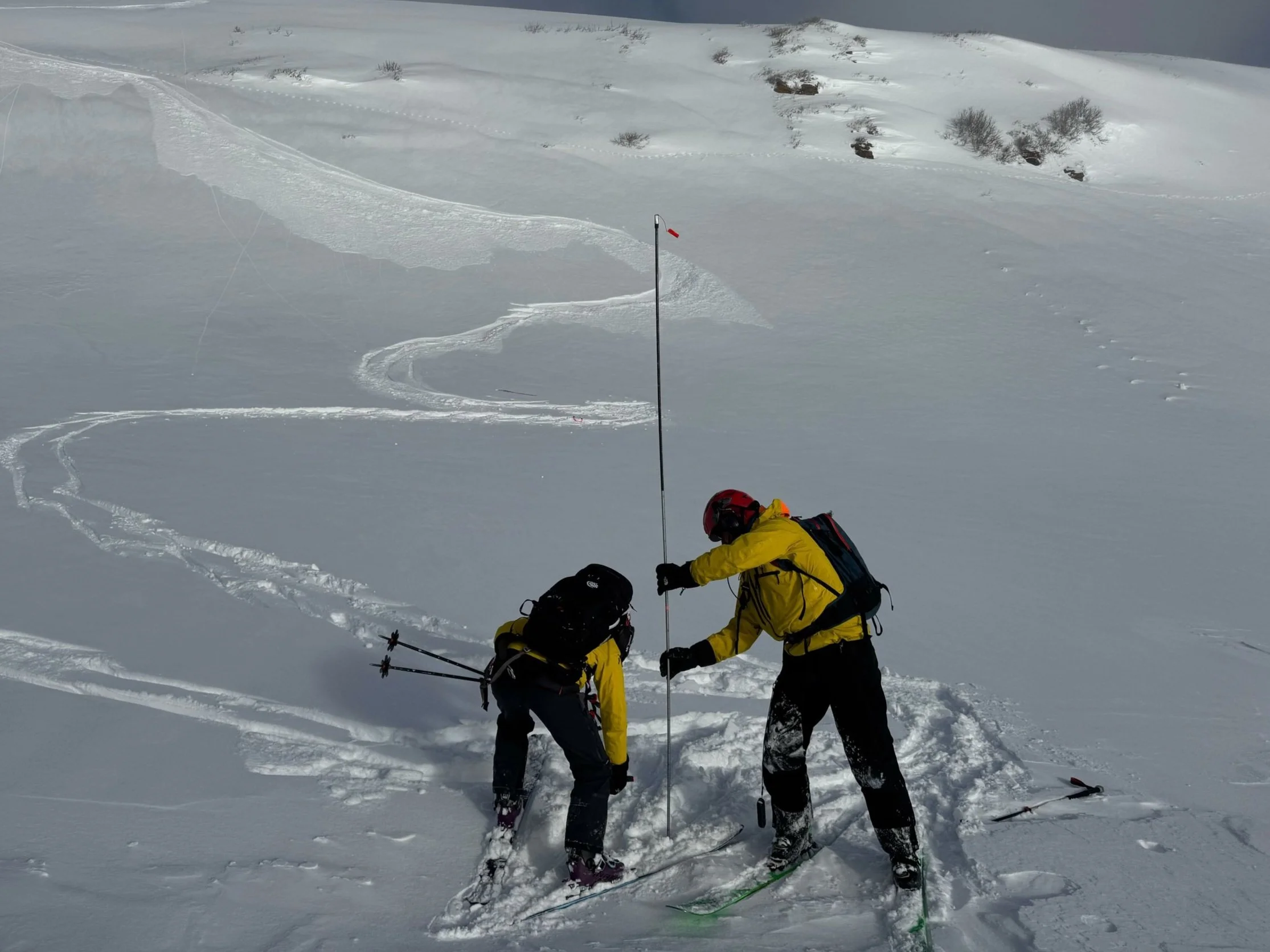Controversies in Avalanche Rescue and Resuscitation for First Responders + Mountain Professionals