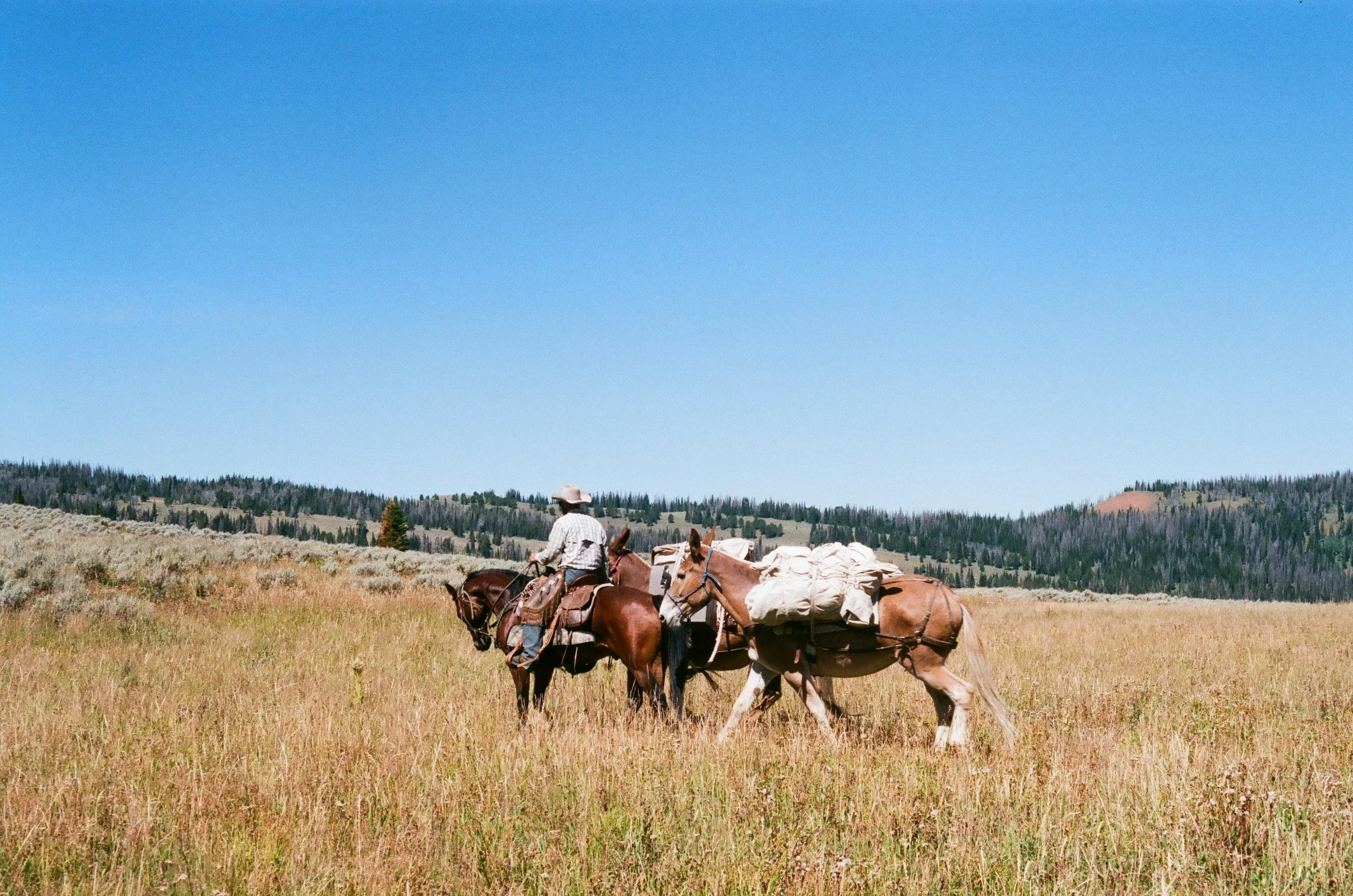 What's In Your Saddle Bags?