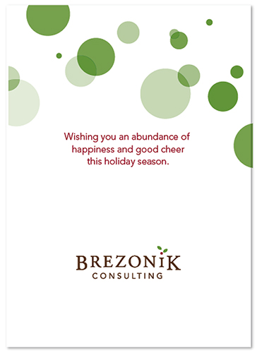 Brezonik Consulting Holiday Greeting Card