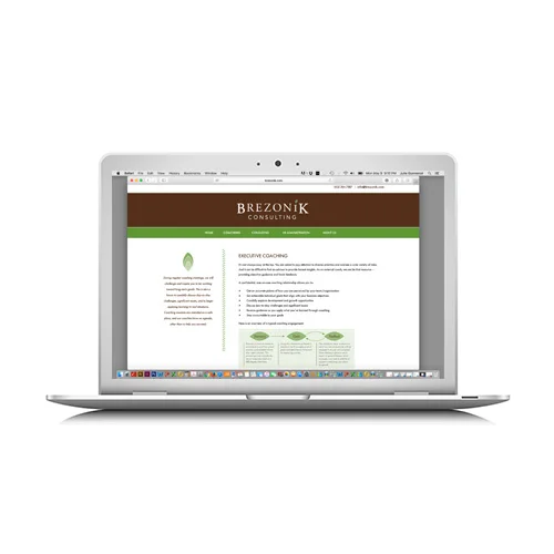 Brezonik Consulting