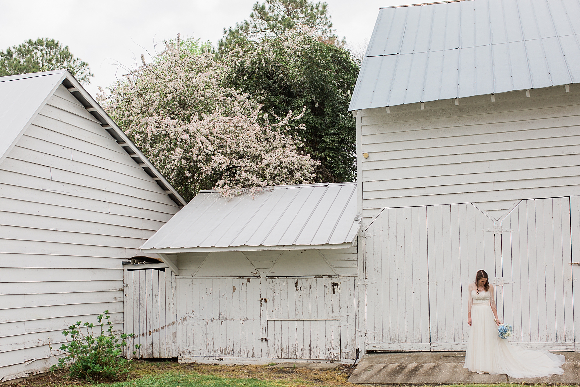 Rustic South Carolina Wedding