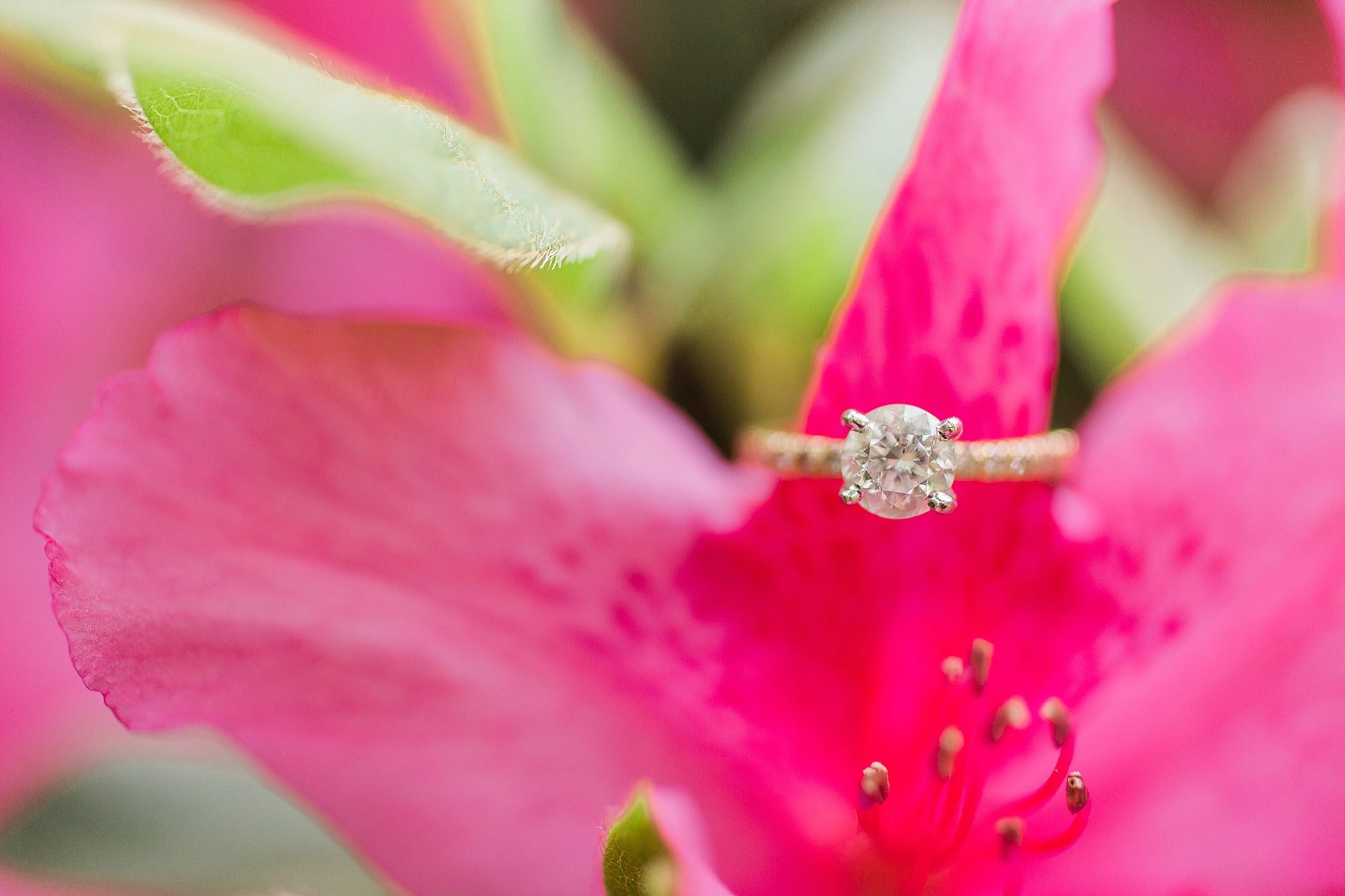 Spring Engagement Pictures