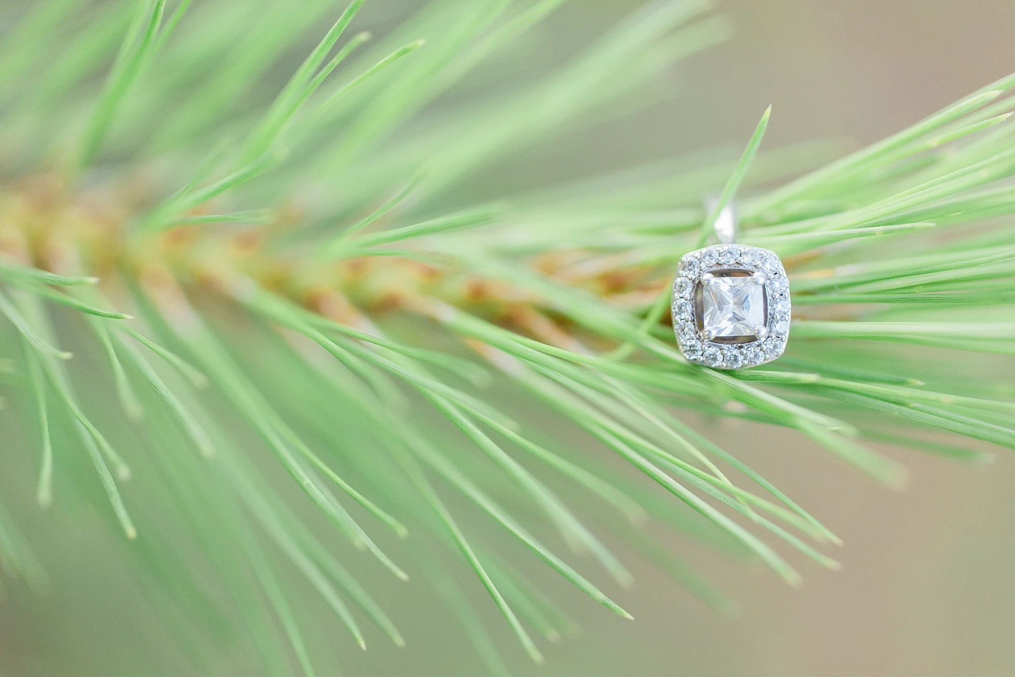 Durham NC Wedding Photographer