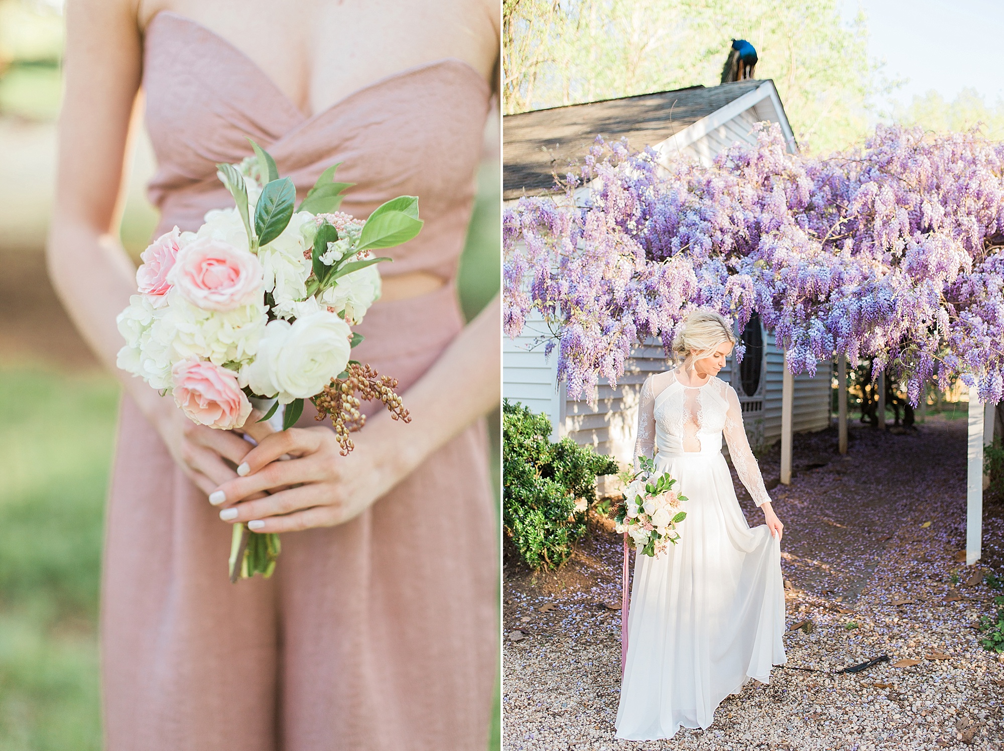 Mebane Photographer