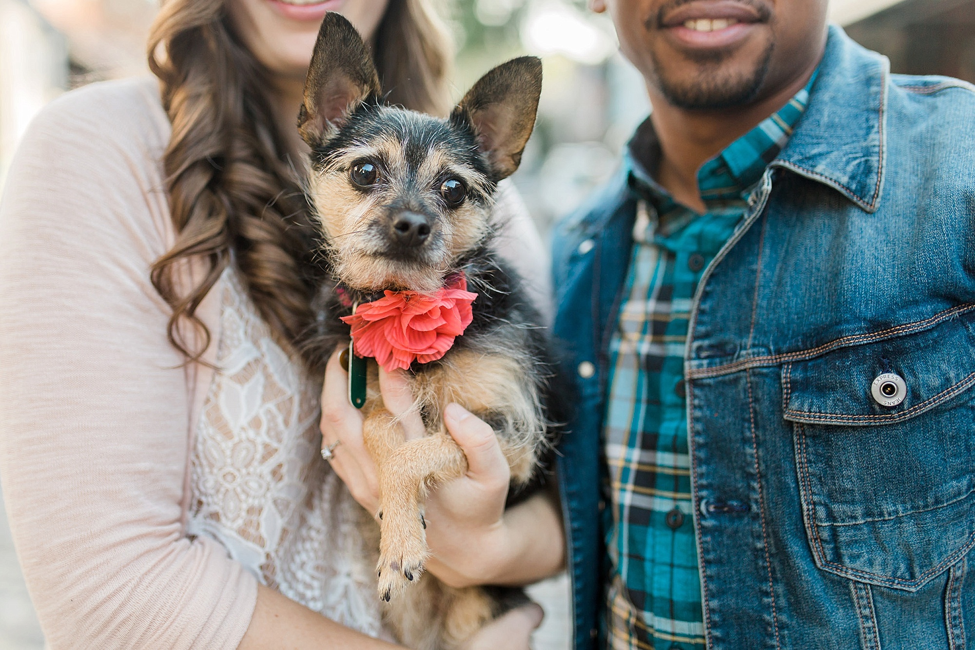 Dog engagement pictures