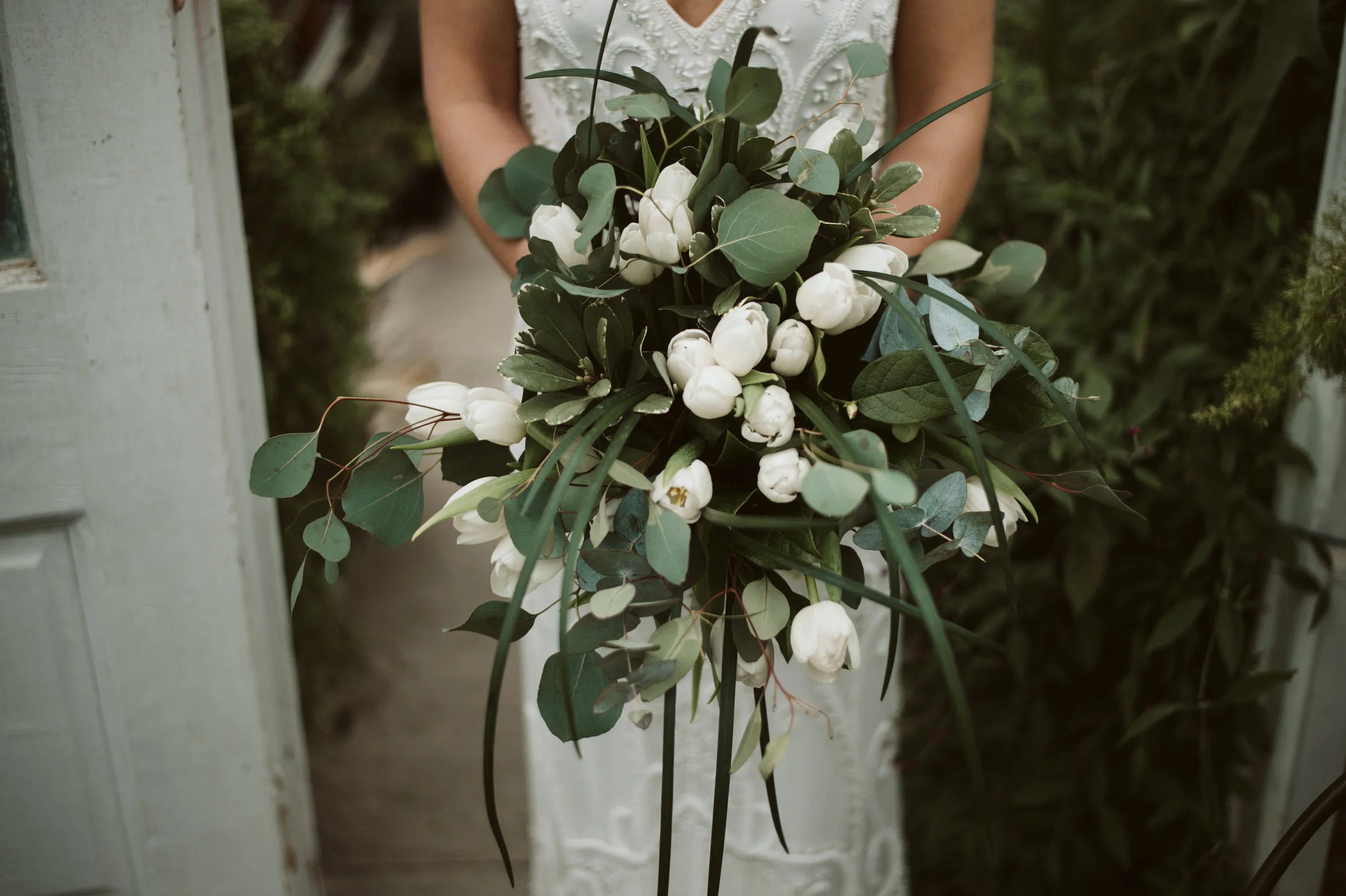 tessy-1-6.jpg