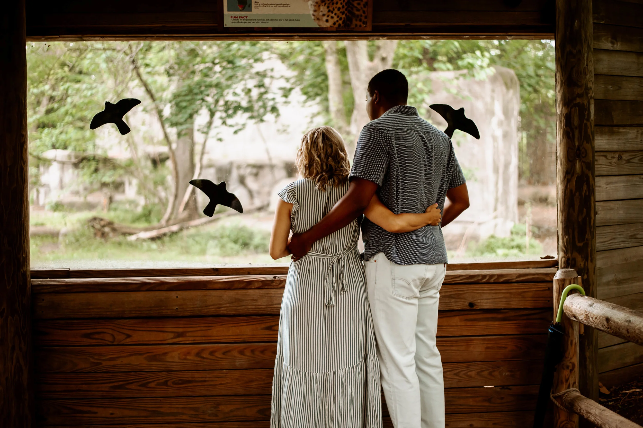 maternity session at the zoo-2.jpg